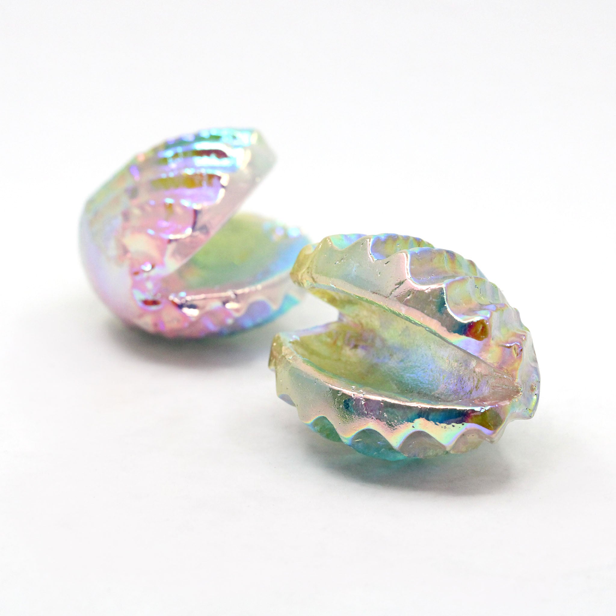 Clam Shell
