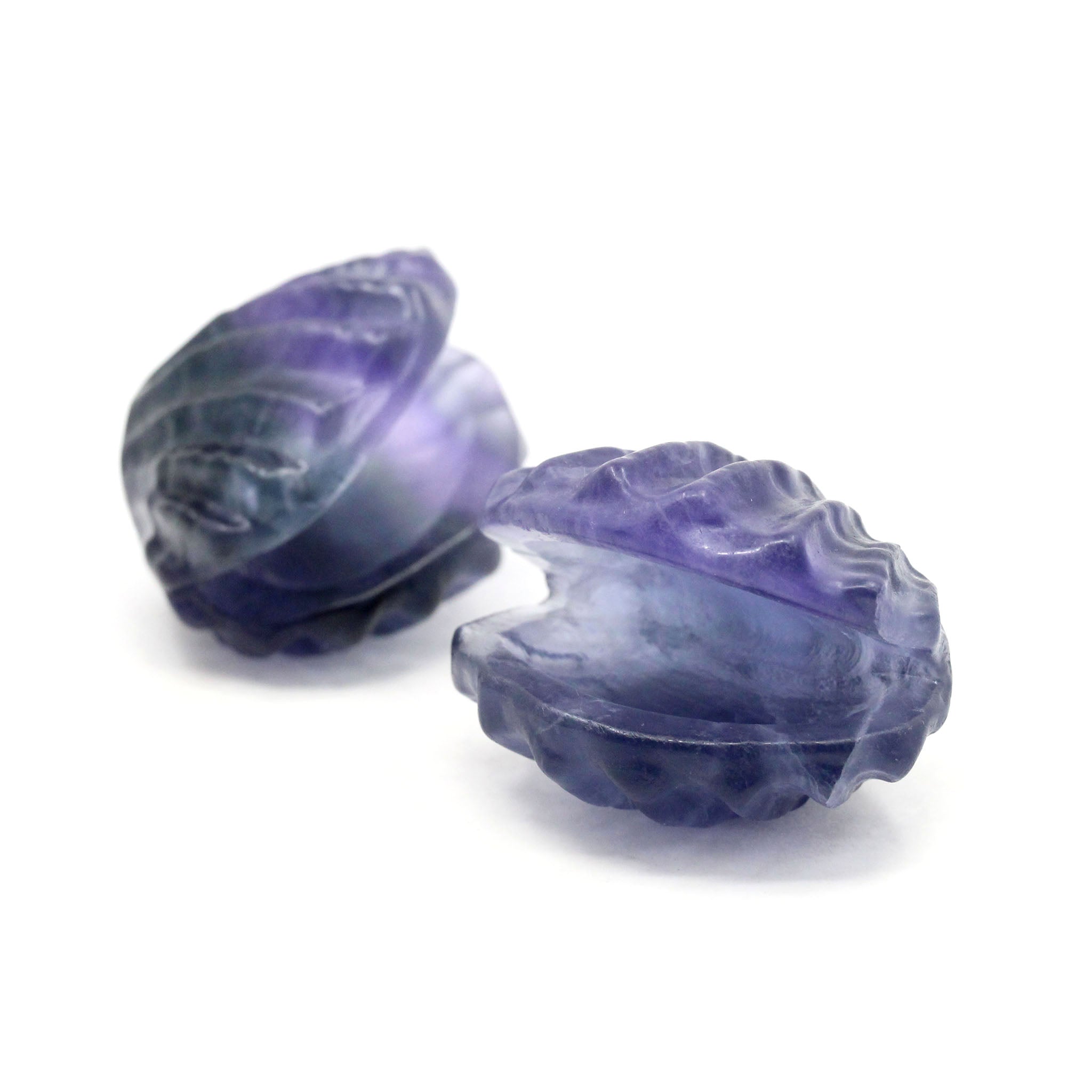 Clam Shell