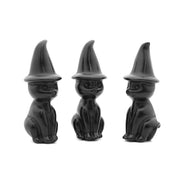 Cat with Witch Hat