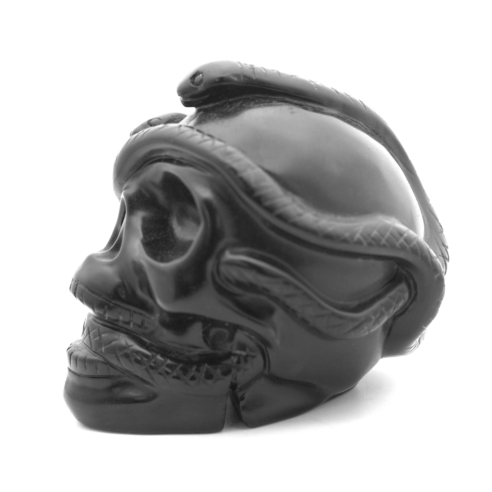 Skull with Snake 4 Inches