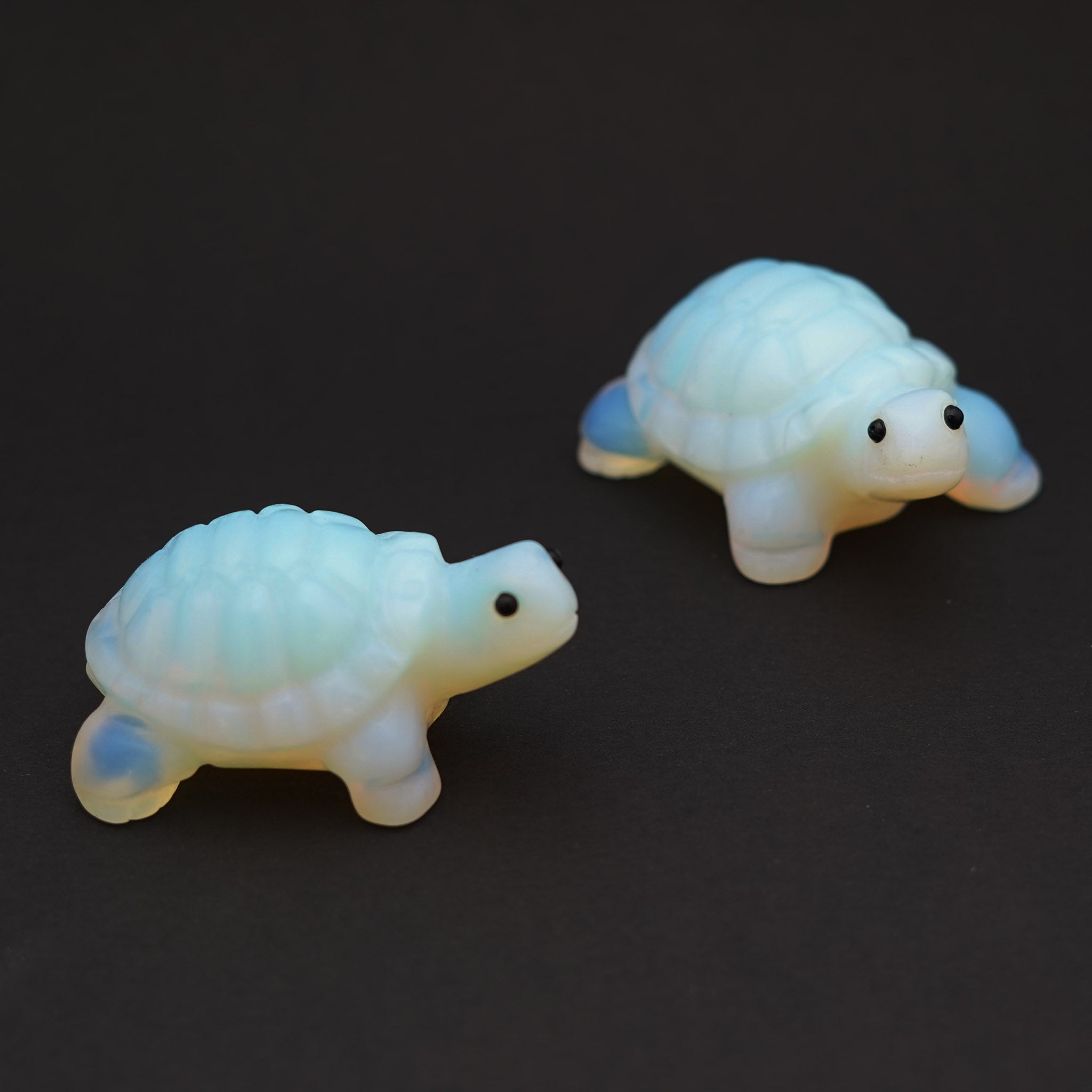 Turtle 2 Inches