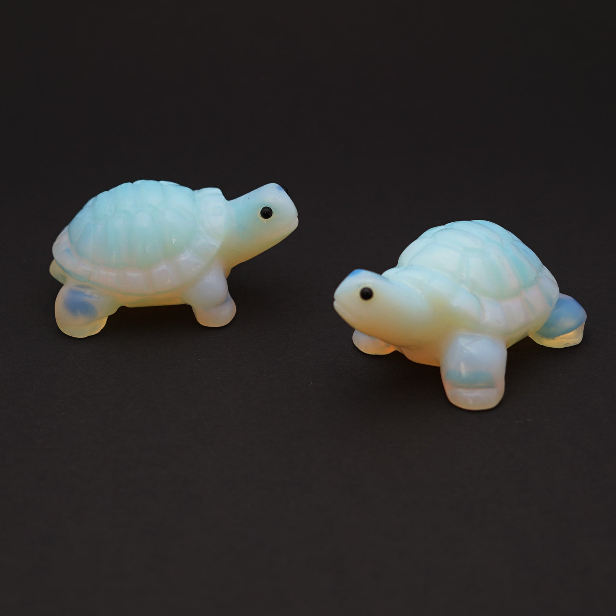 Turtle 2 Inches