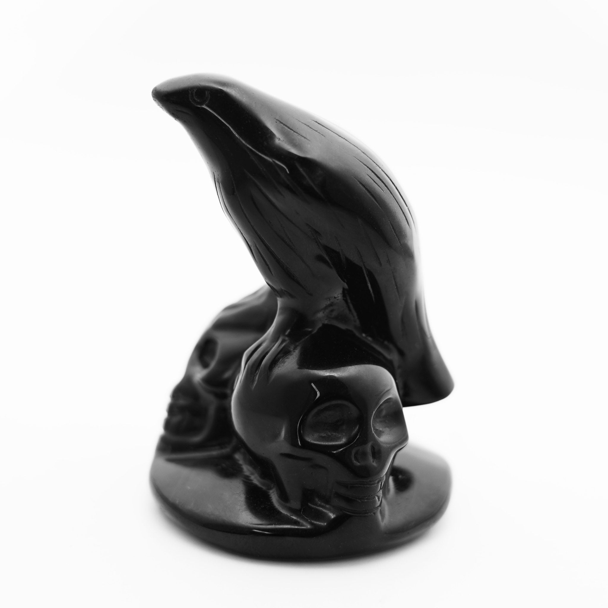 Raven with Skulls