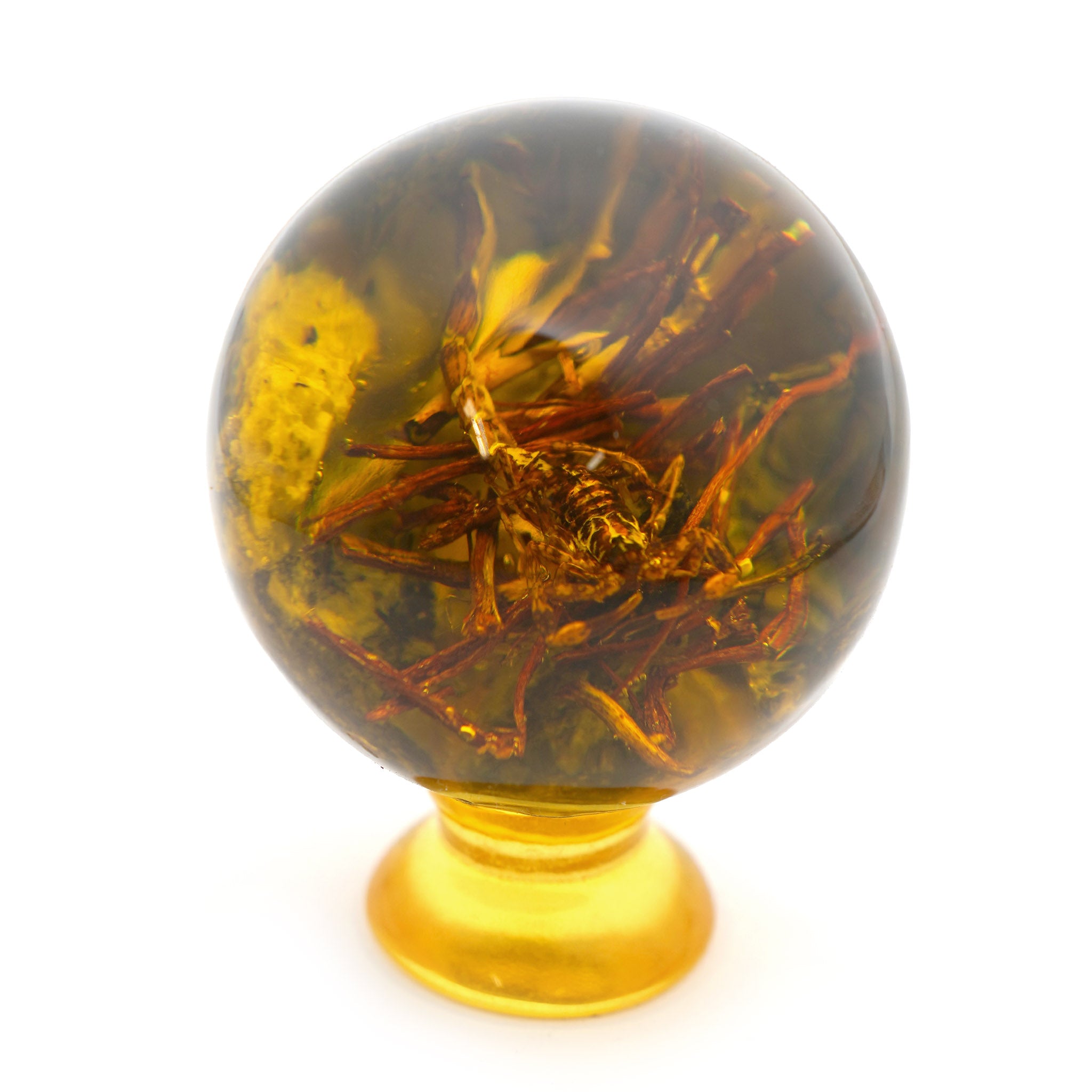 Amber Sphere with Insect