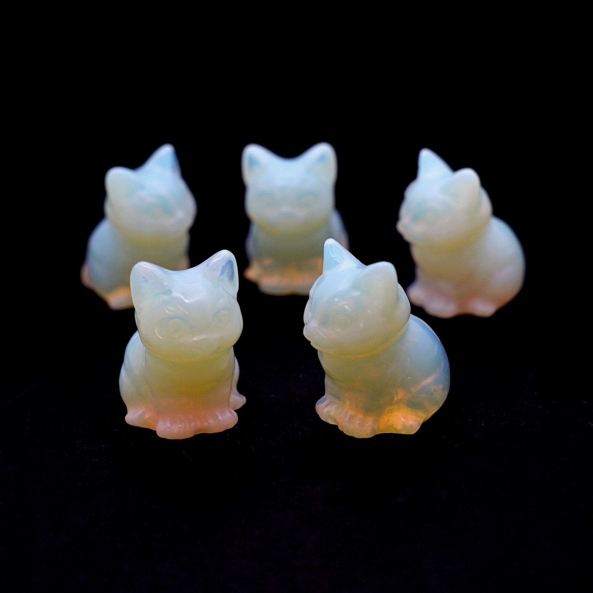 Chubby Cat Sitting 1.4 Inches - 5 Pcs
