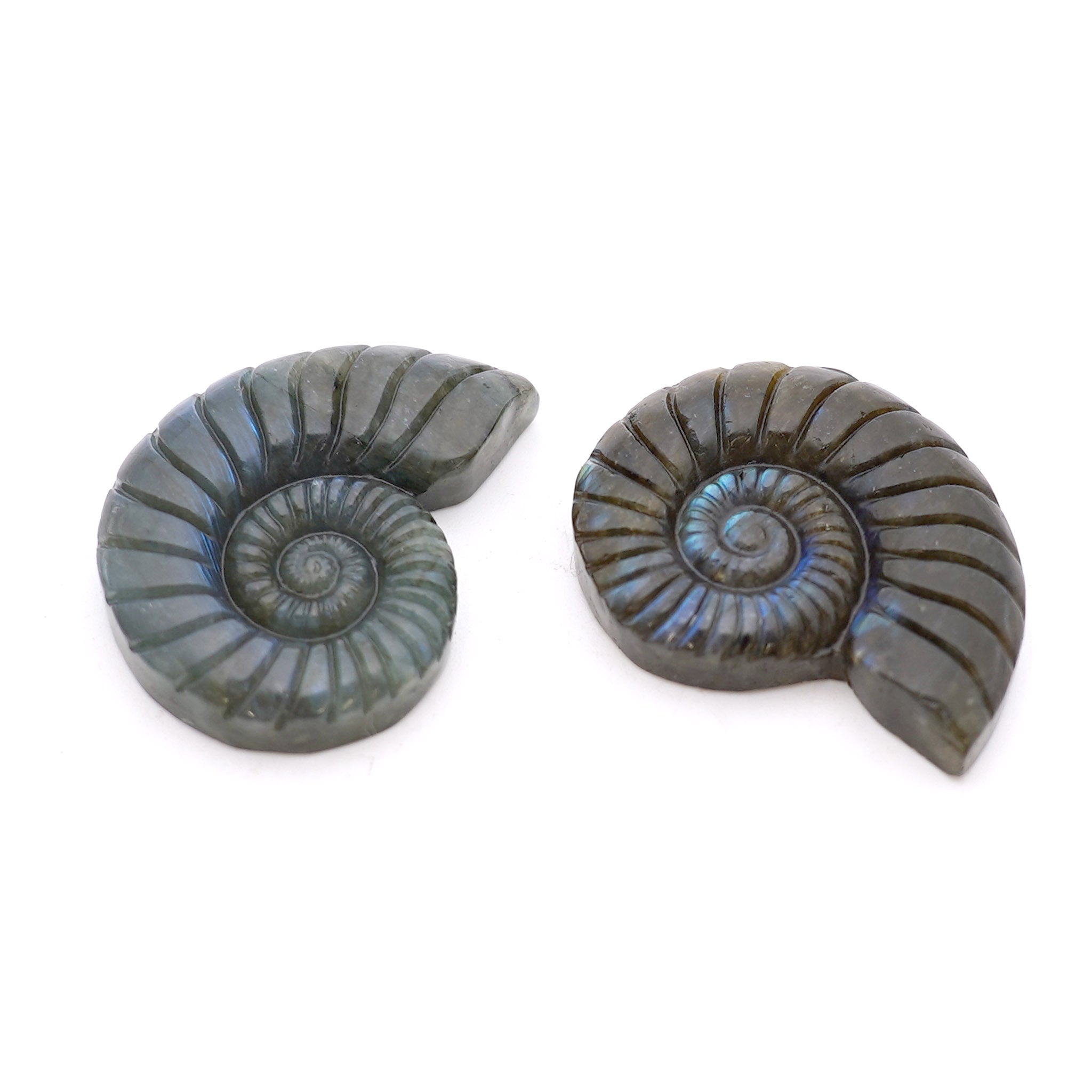 Labradorite Spiral Shell Cabochon