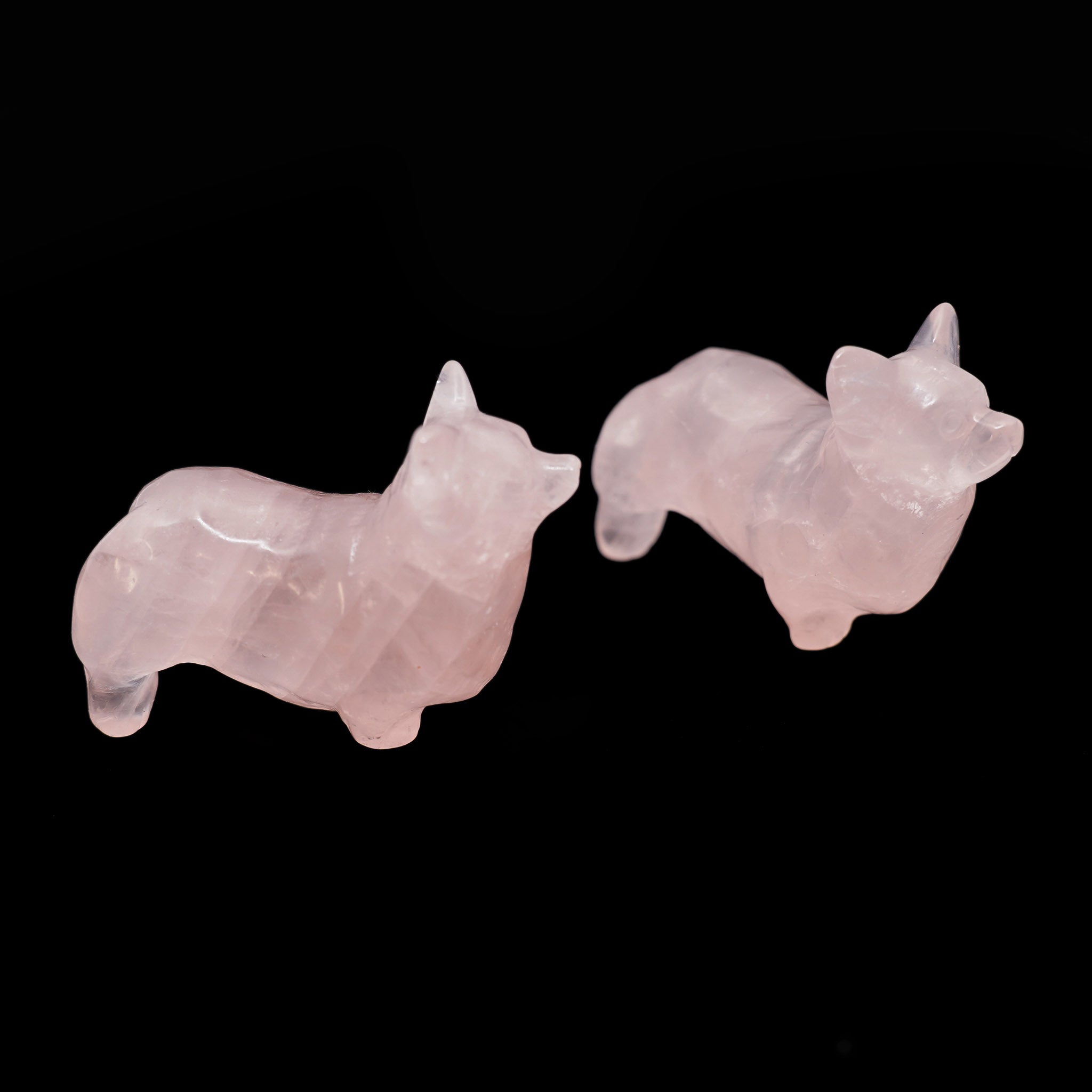 Corgi 2.5 Inches