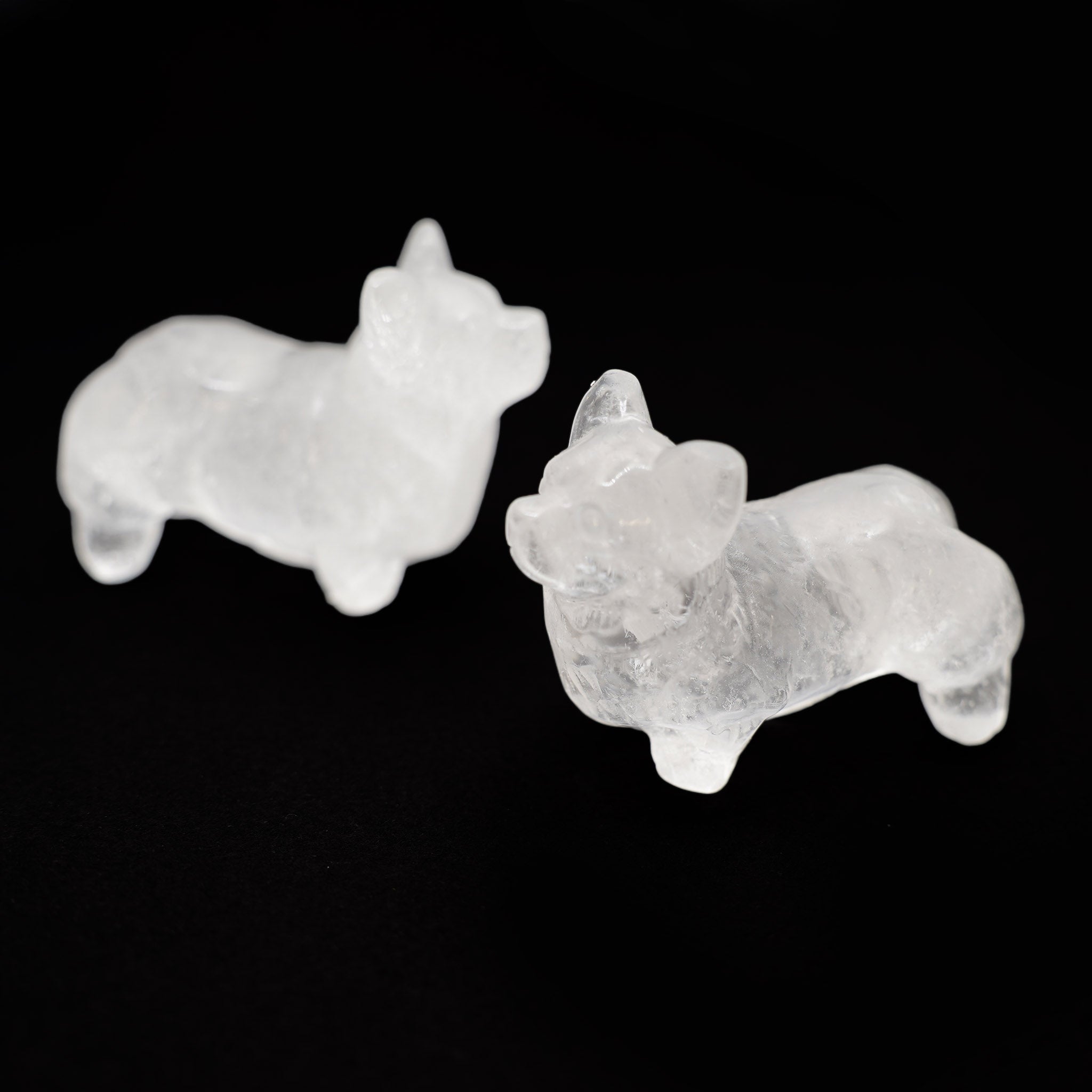Corgi 2.5 Inches