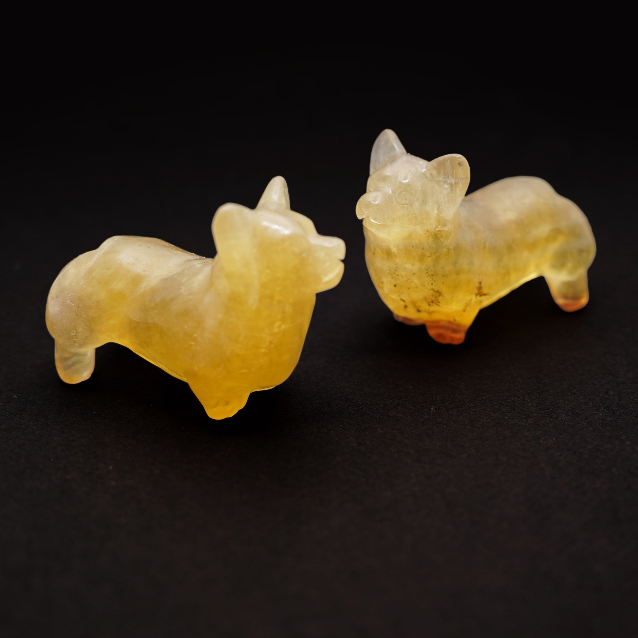 Corgi 2.5 Inches