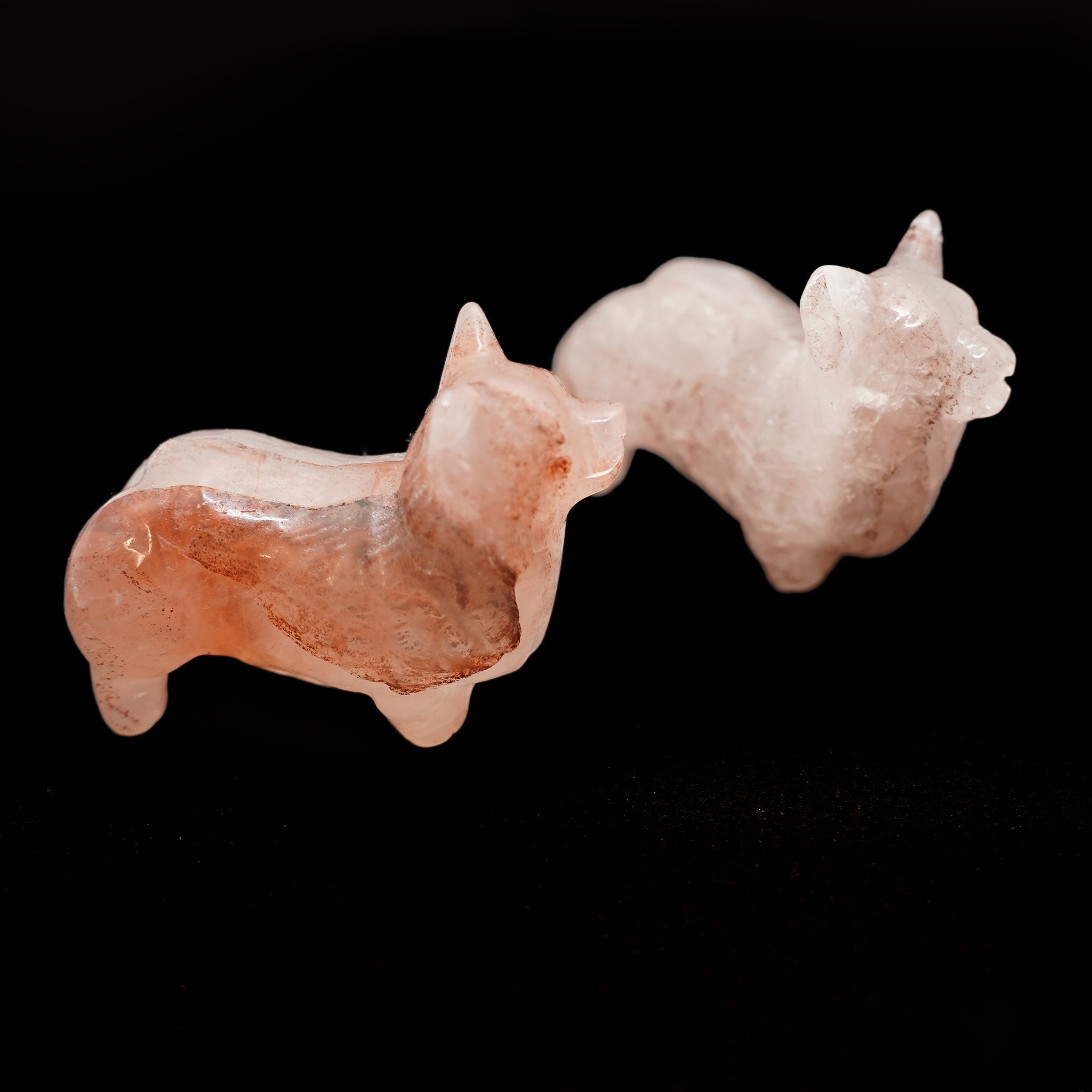 Corgi 2.5 Inches