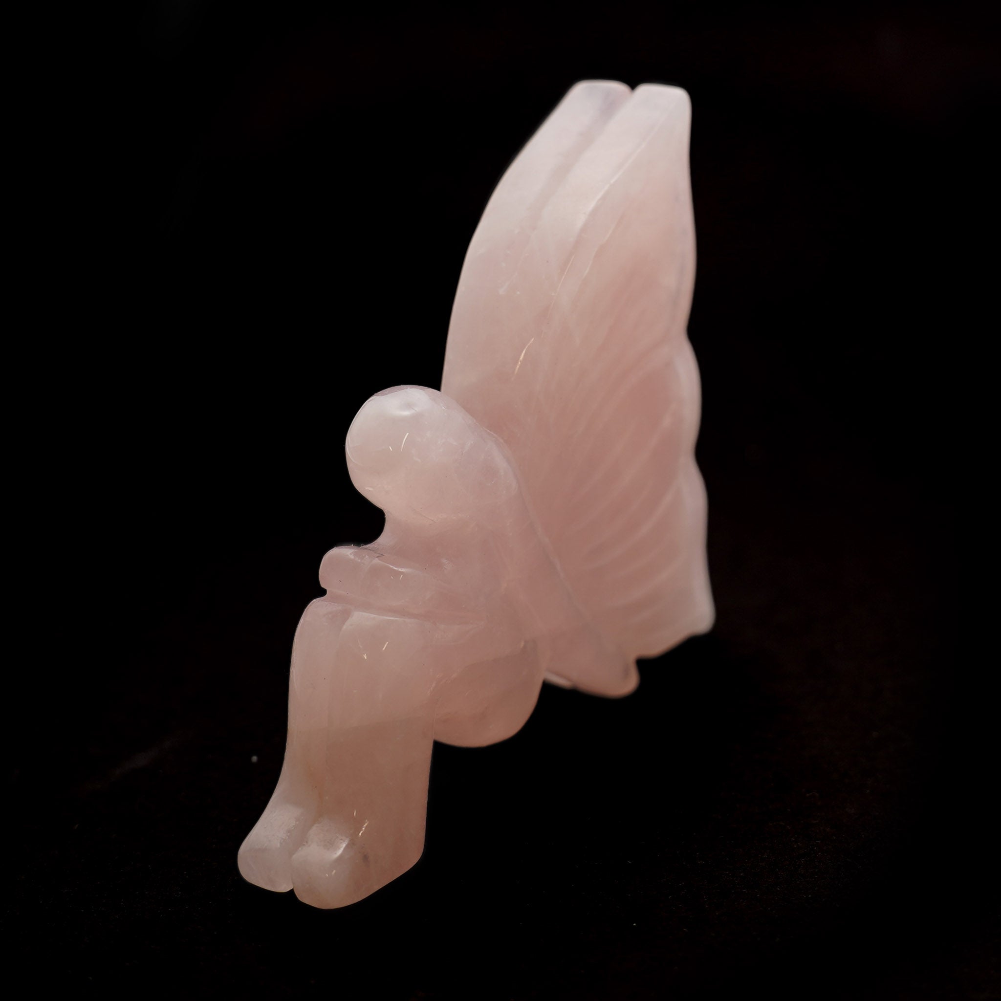 Butterfly Fairy Sitting