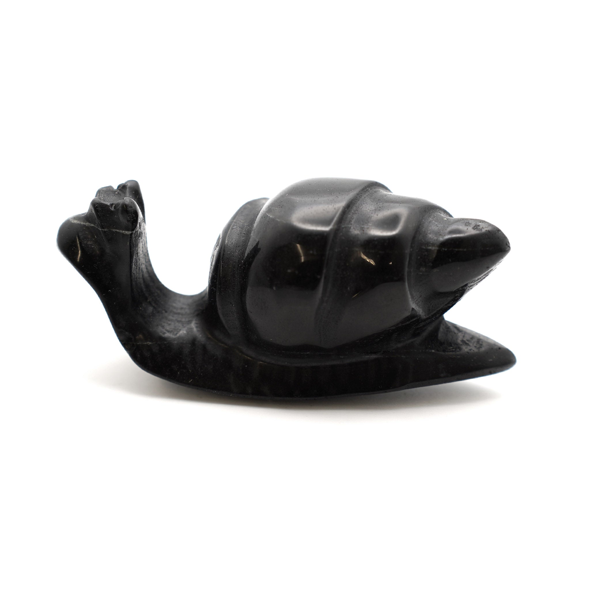 Sea Snail 4 Inches