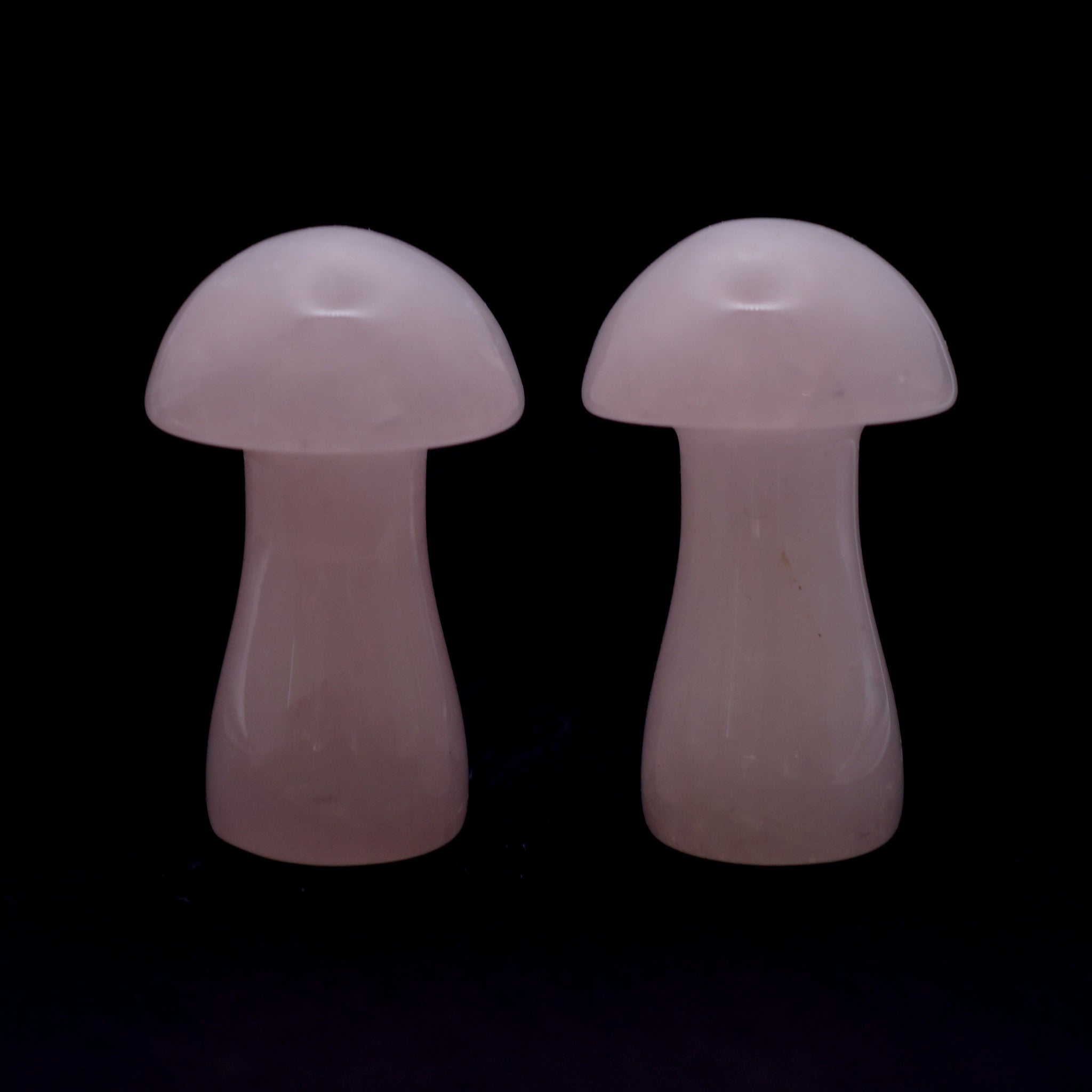 Mushroom 2.5 Inches