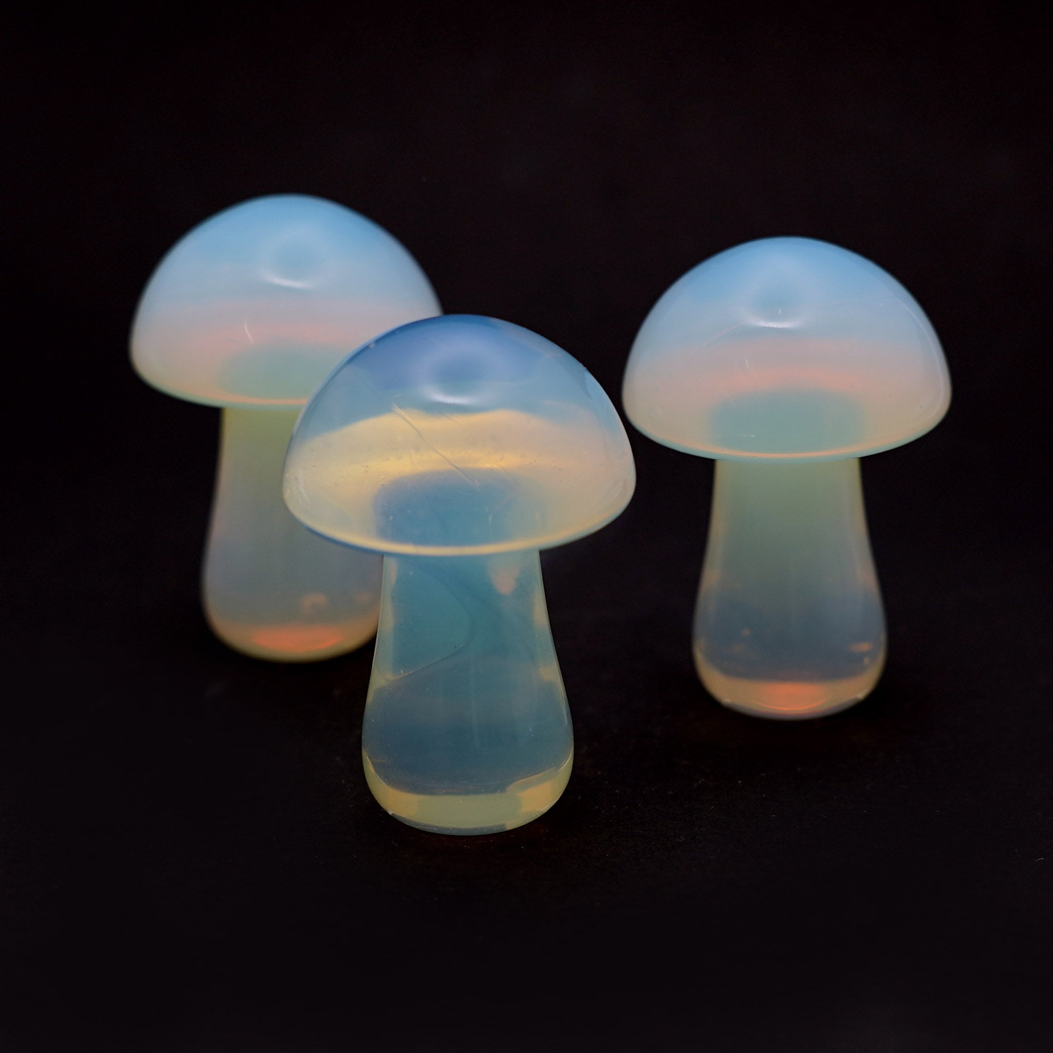 Mushroom 2 Inches