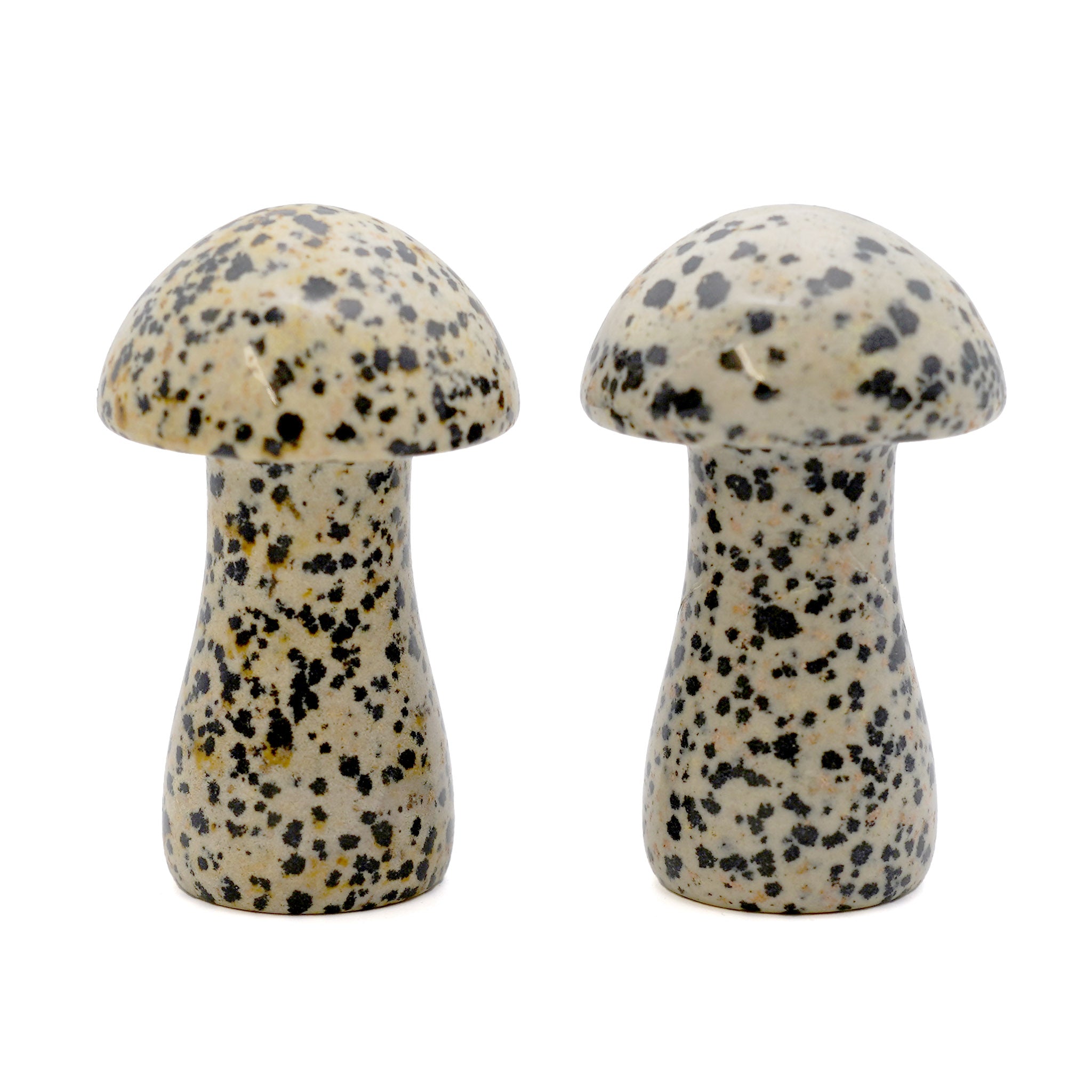 Mushroom 2.5 Inches