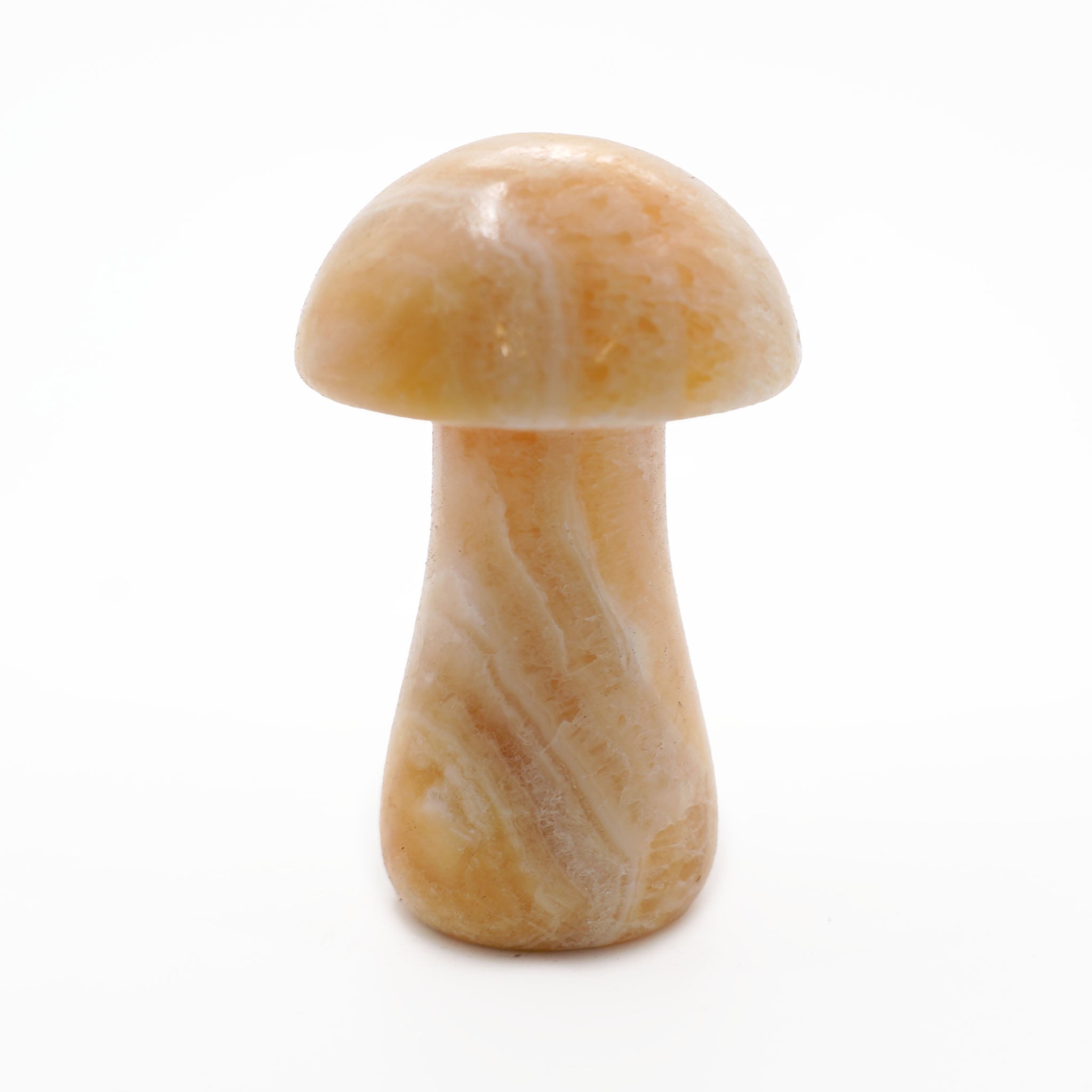 Mushroom 3 Inches