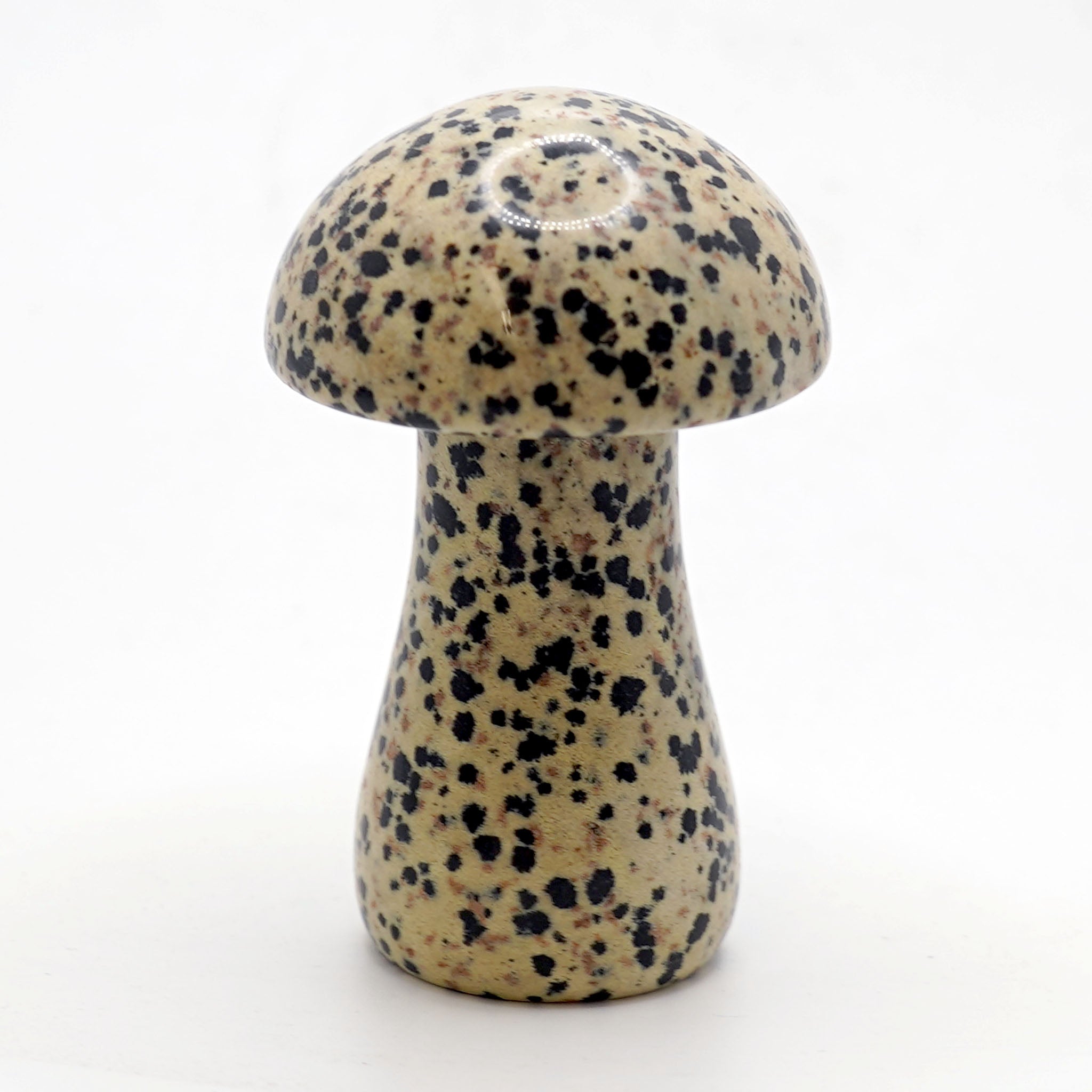Mushroom 3 Inches