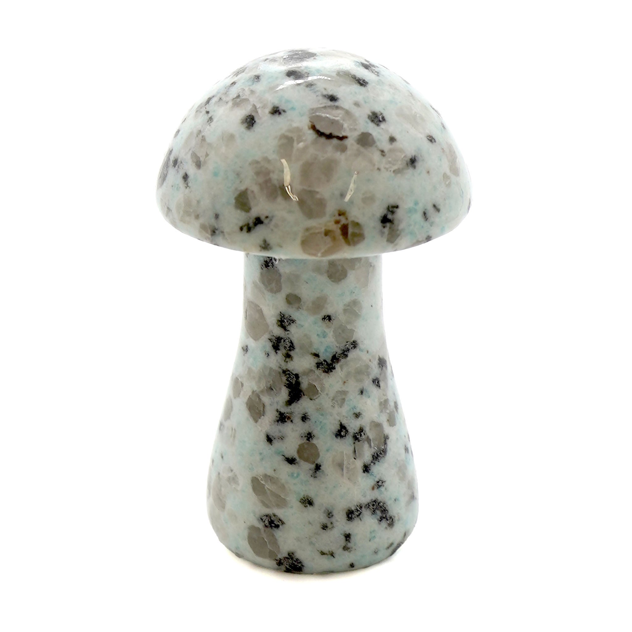 Mushroom 3 Inches