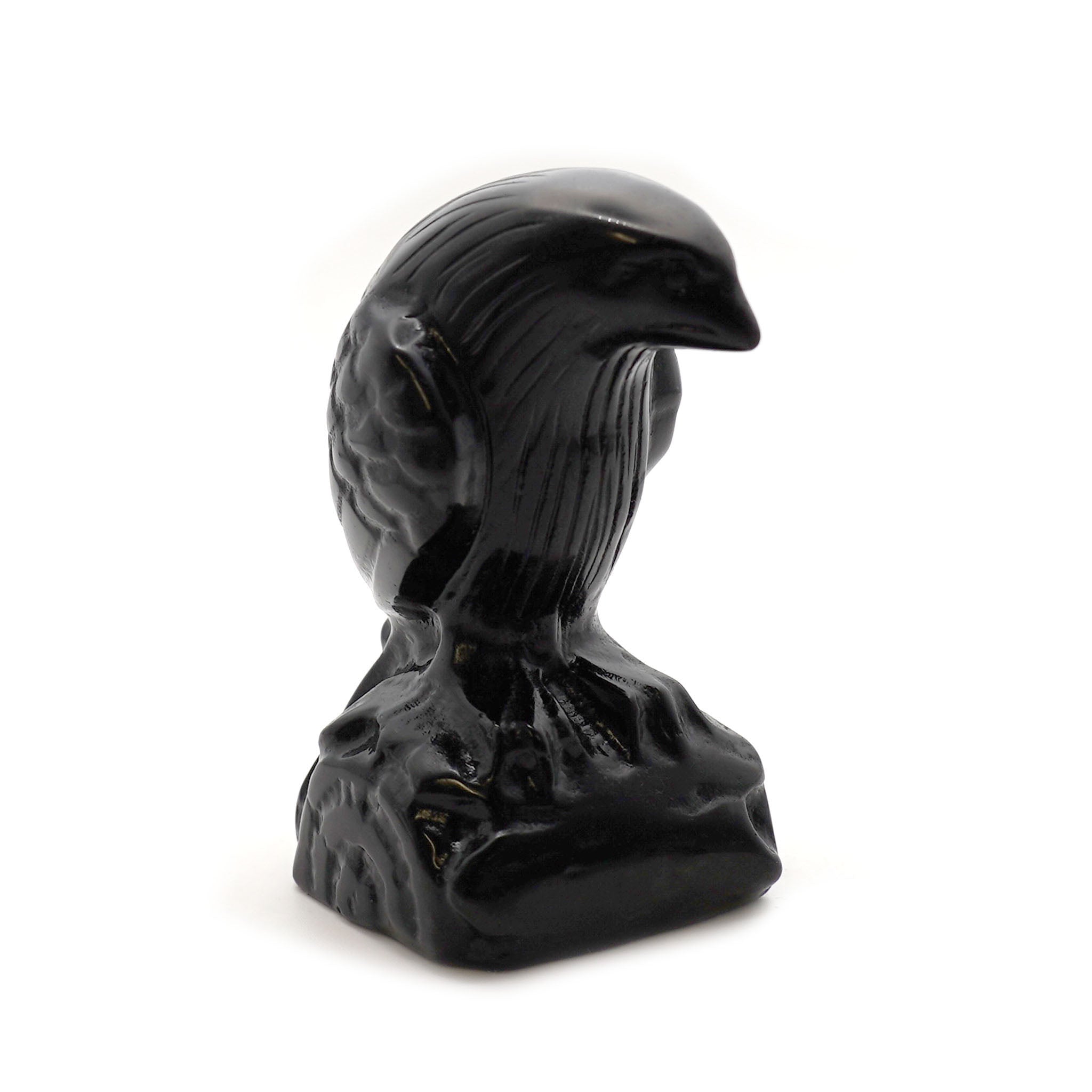 Detailed Raven