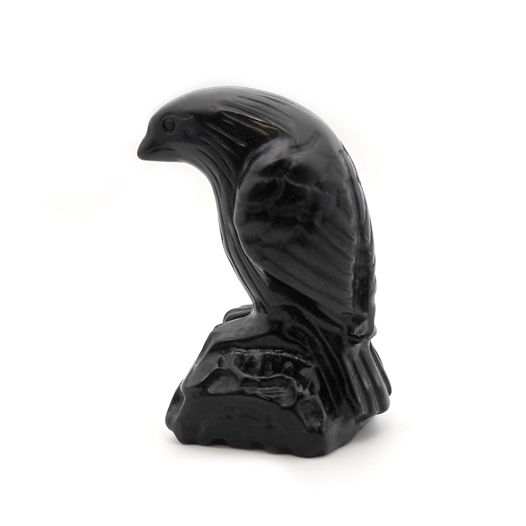 Detailed Raven