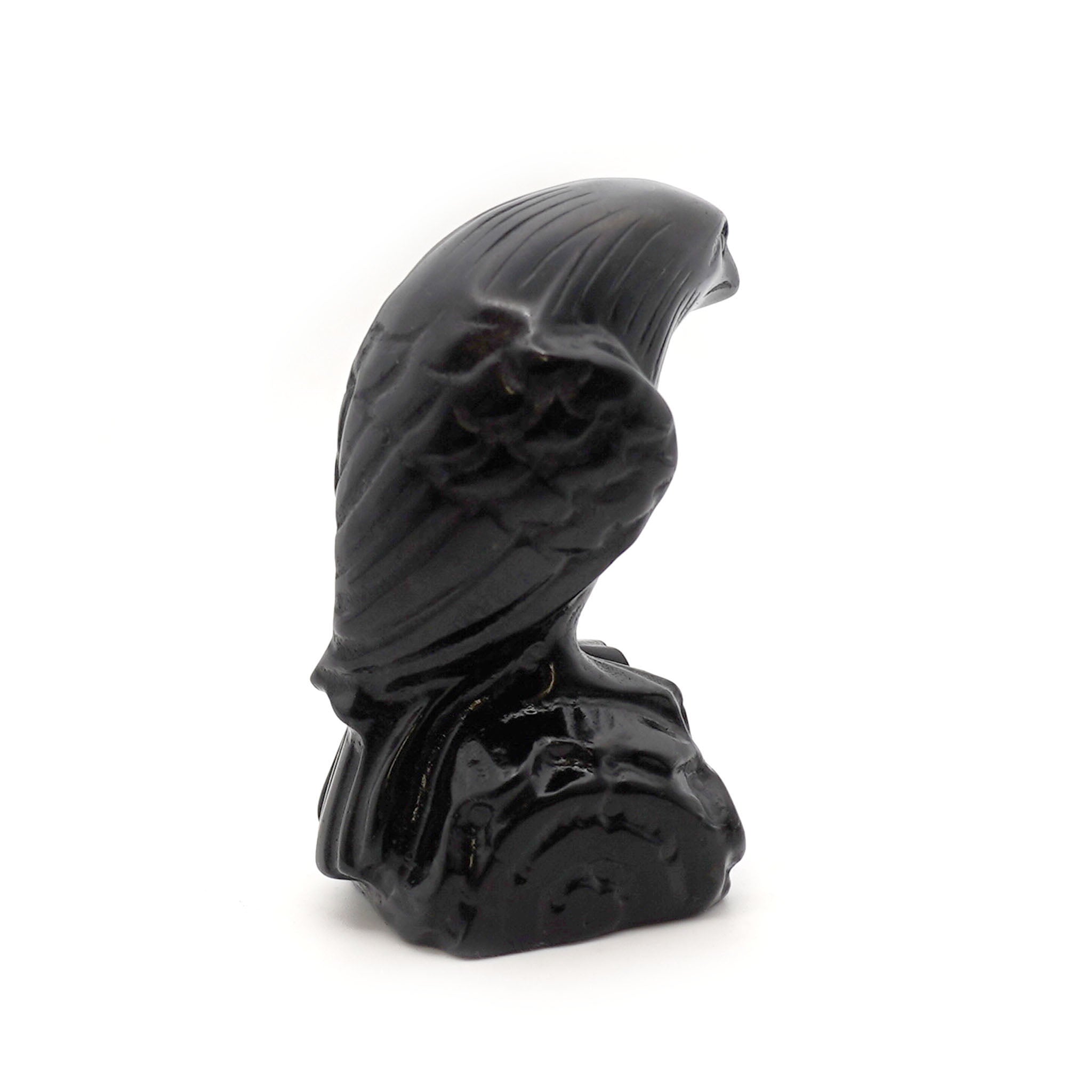 Detailed Raven