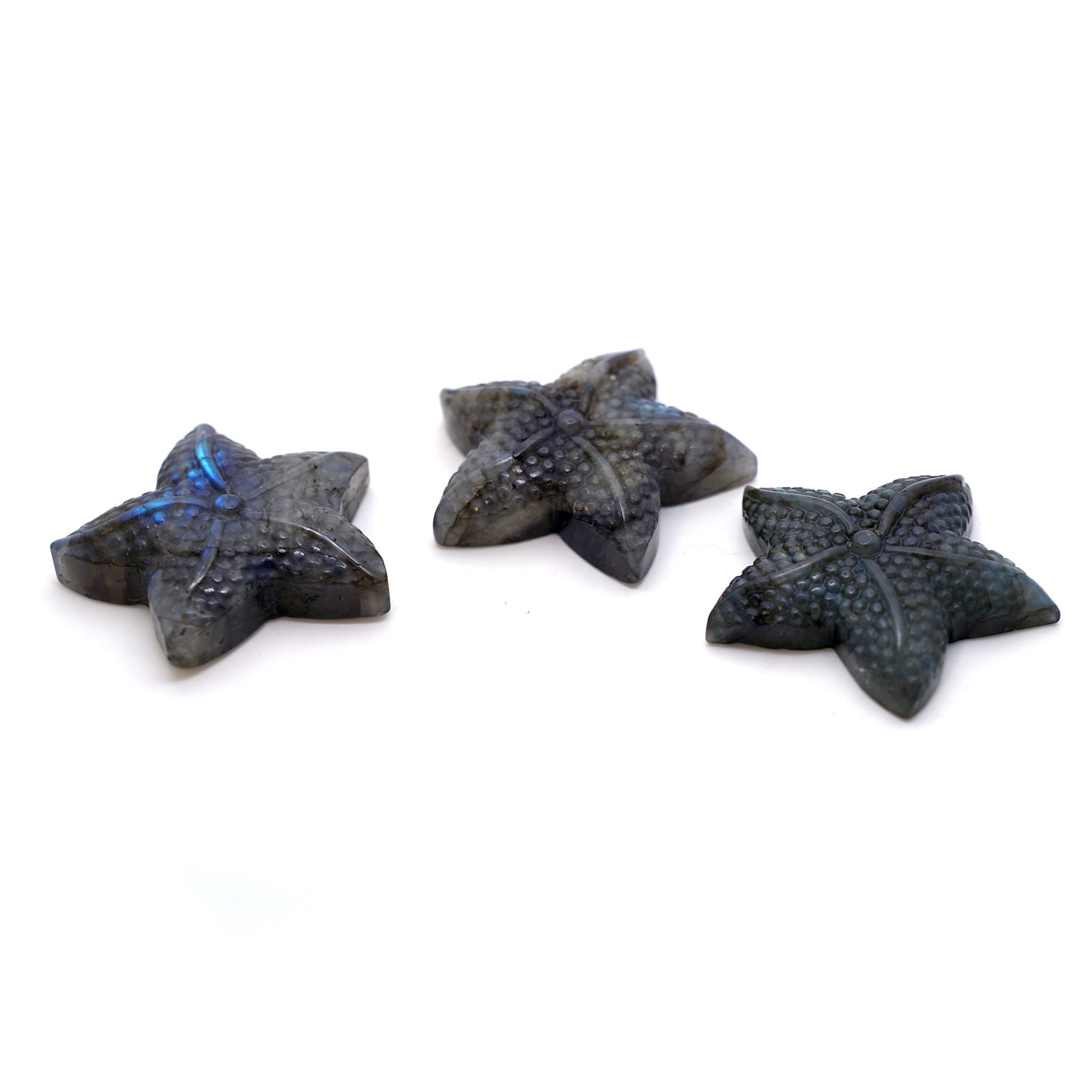 Labradorite Starfish Cabochon