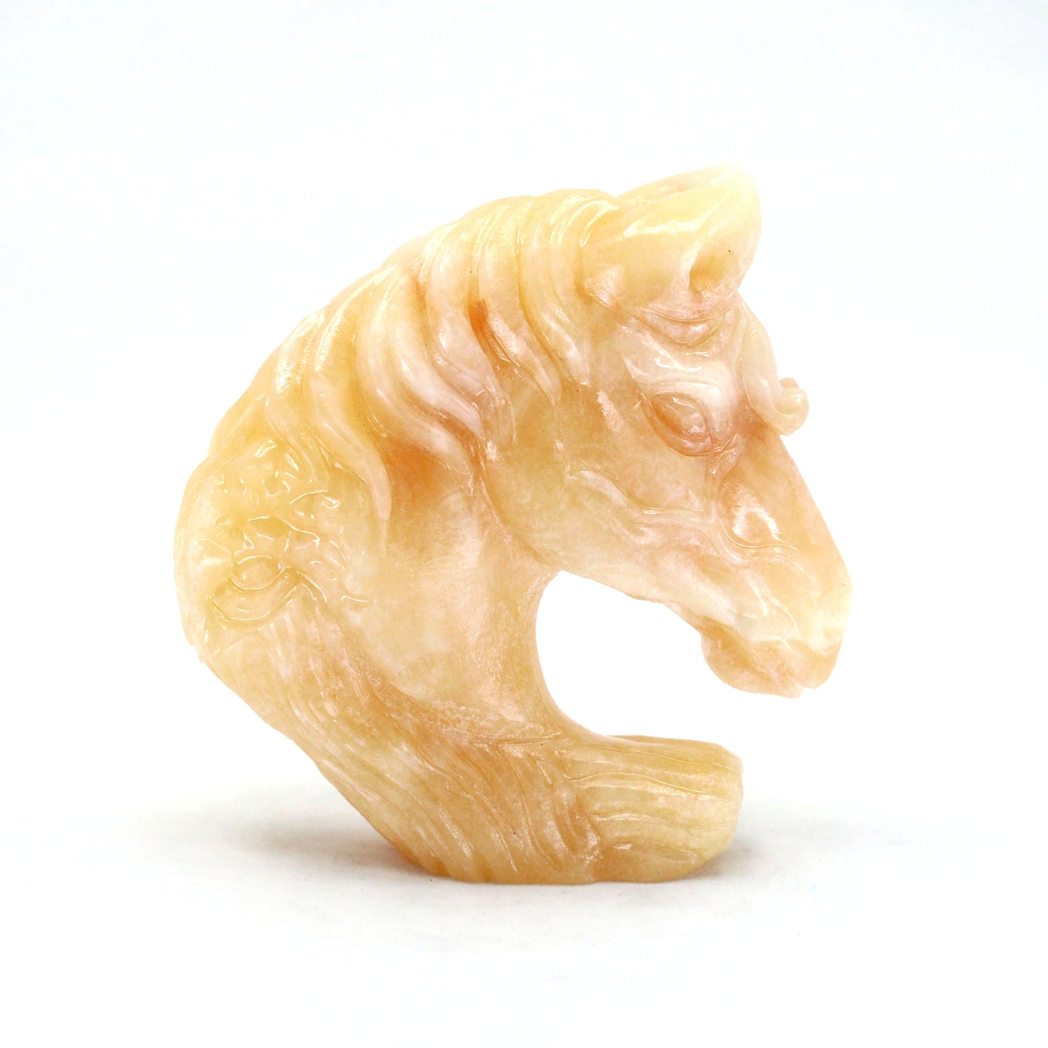 Detailed Horse Bust