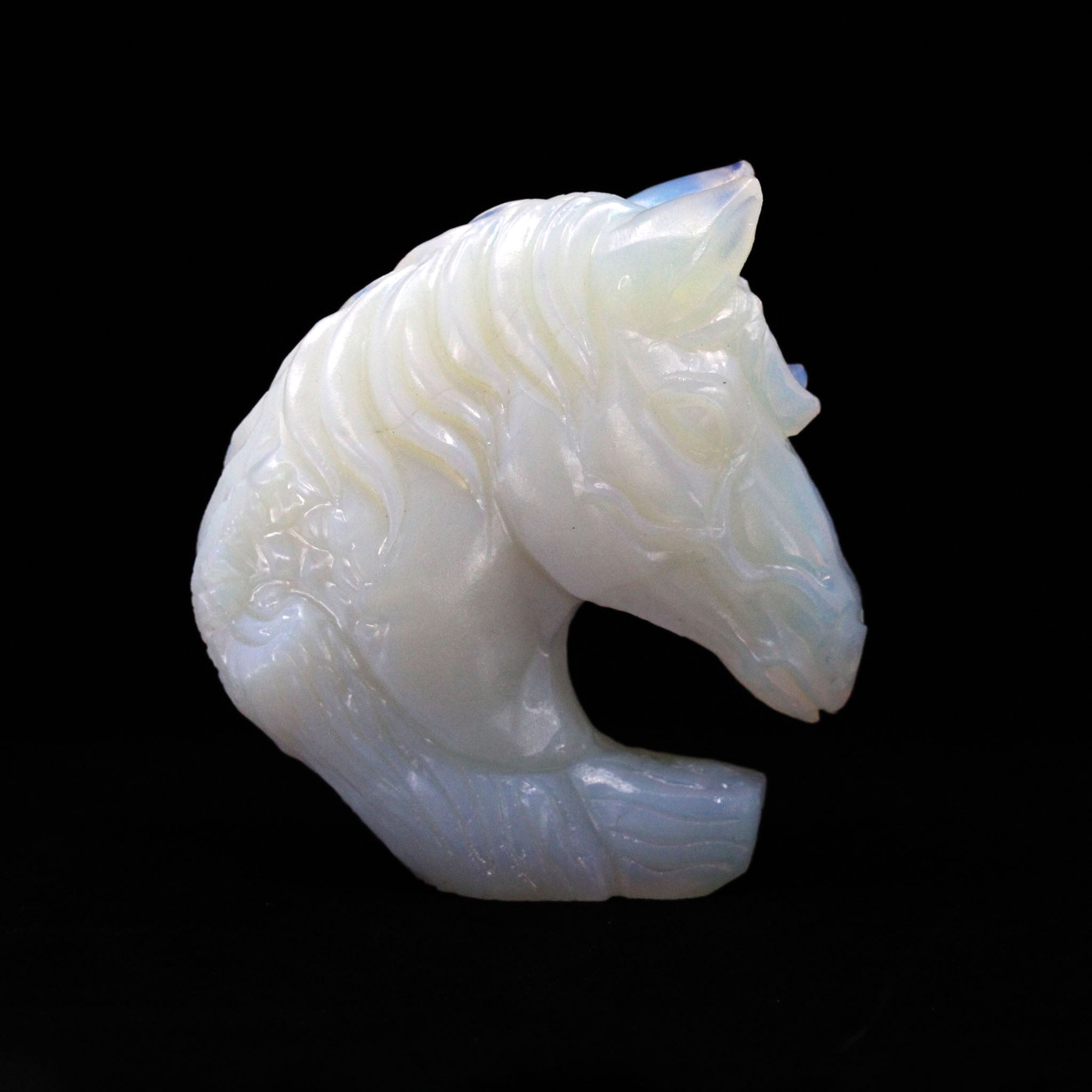 Detailed Horse Bust