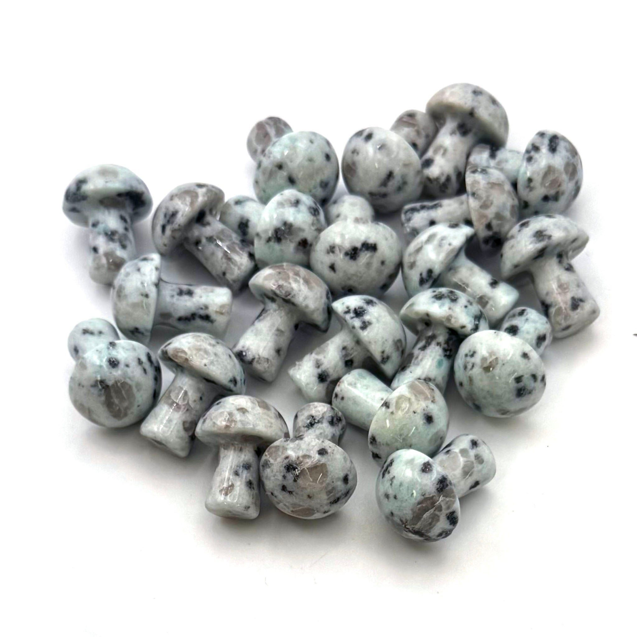 Mushroom 20mm - 25 Pcs