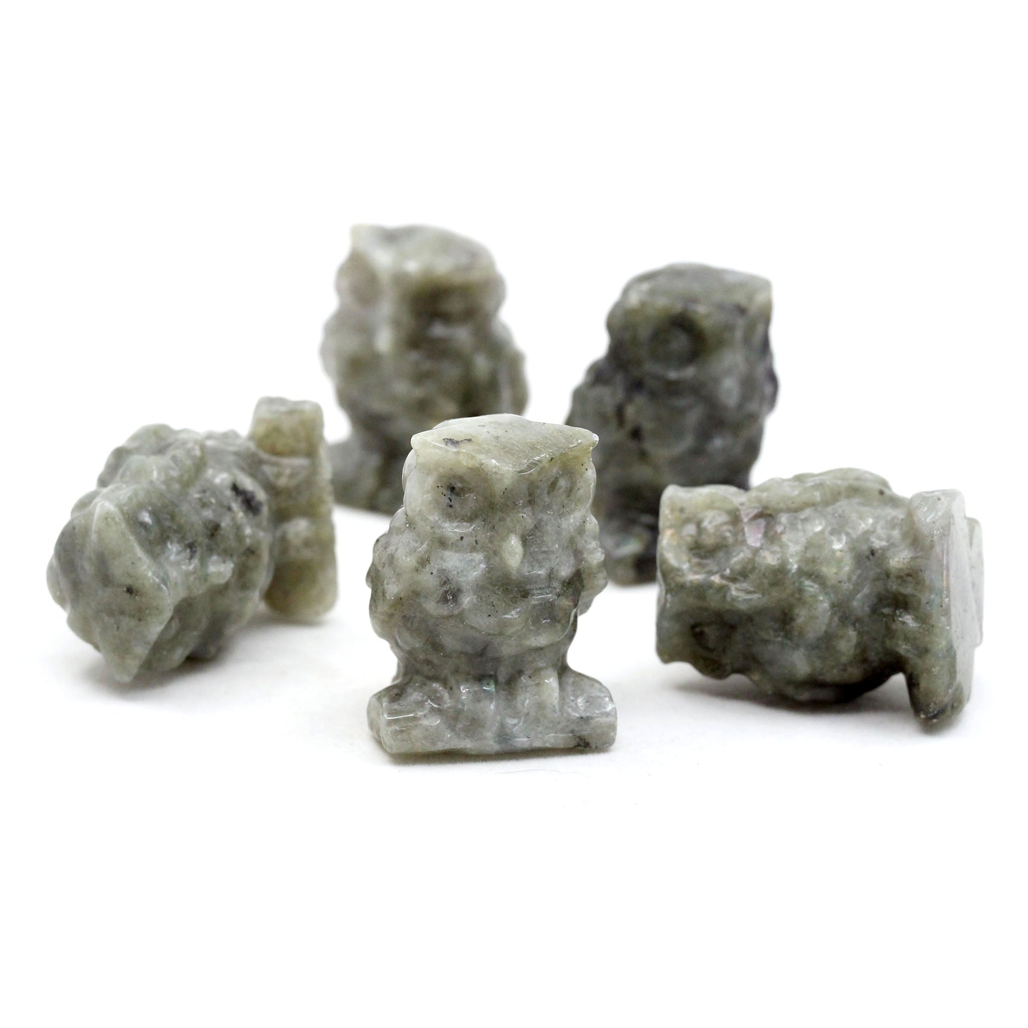 Owl with Pointy Ears - 5 Pcs