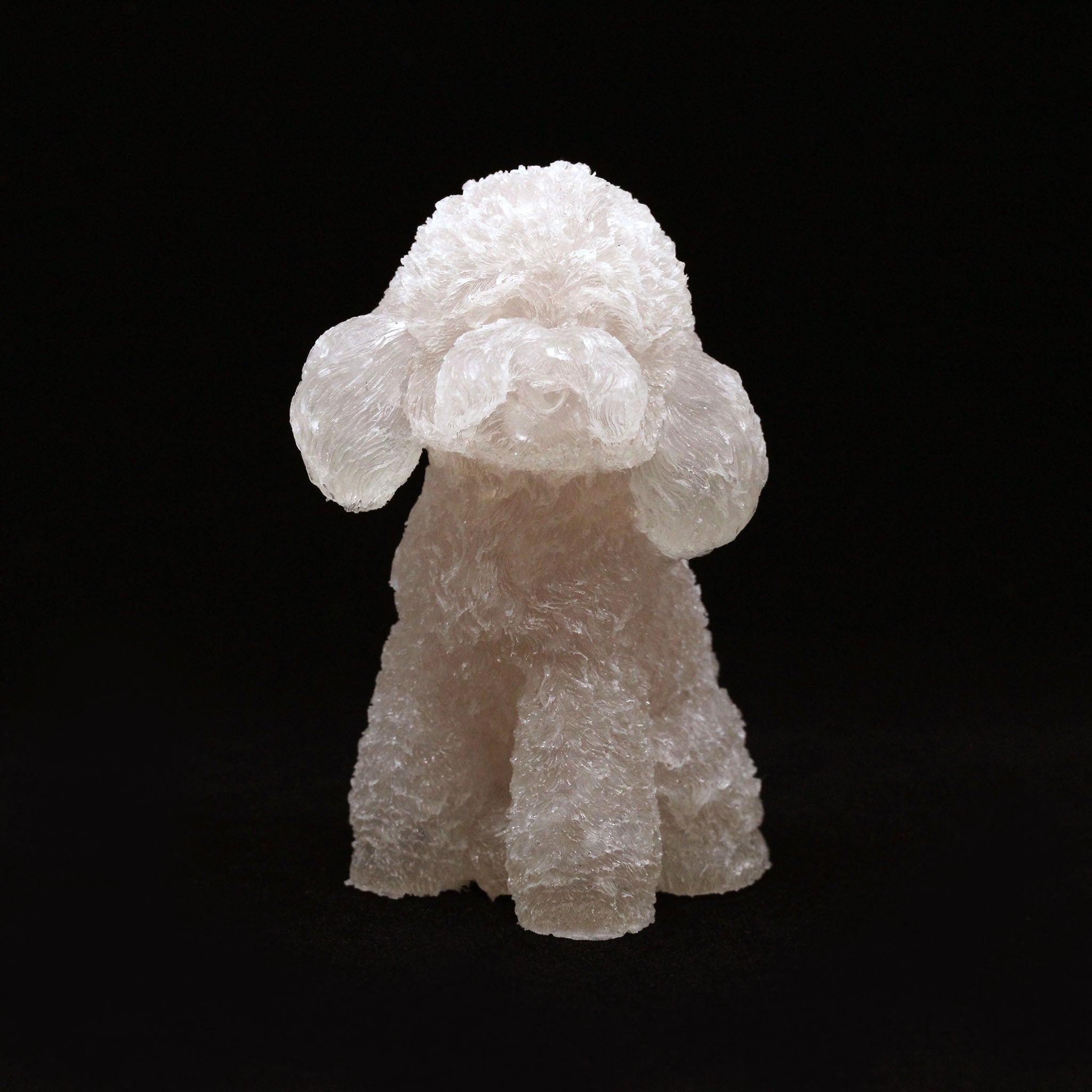 Crystal in Resin Poodle  4 Inches