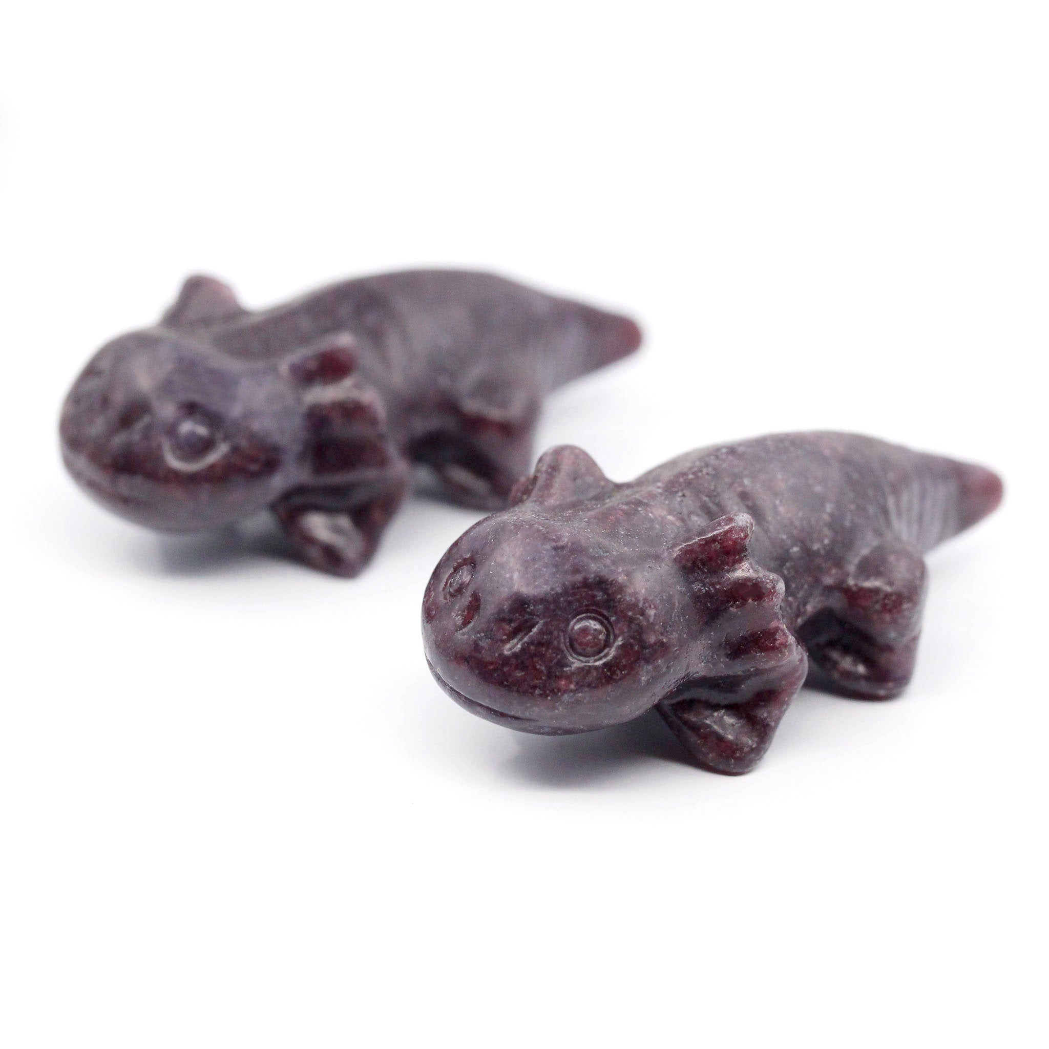 Axolotl Salamander 2.5 Inches