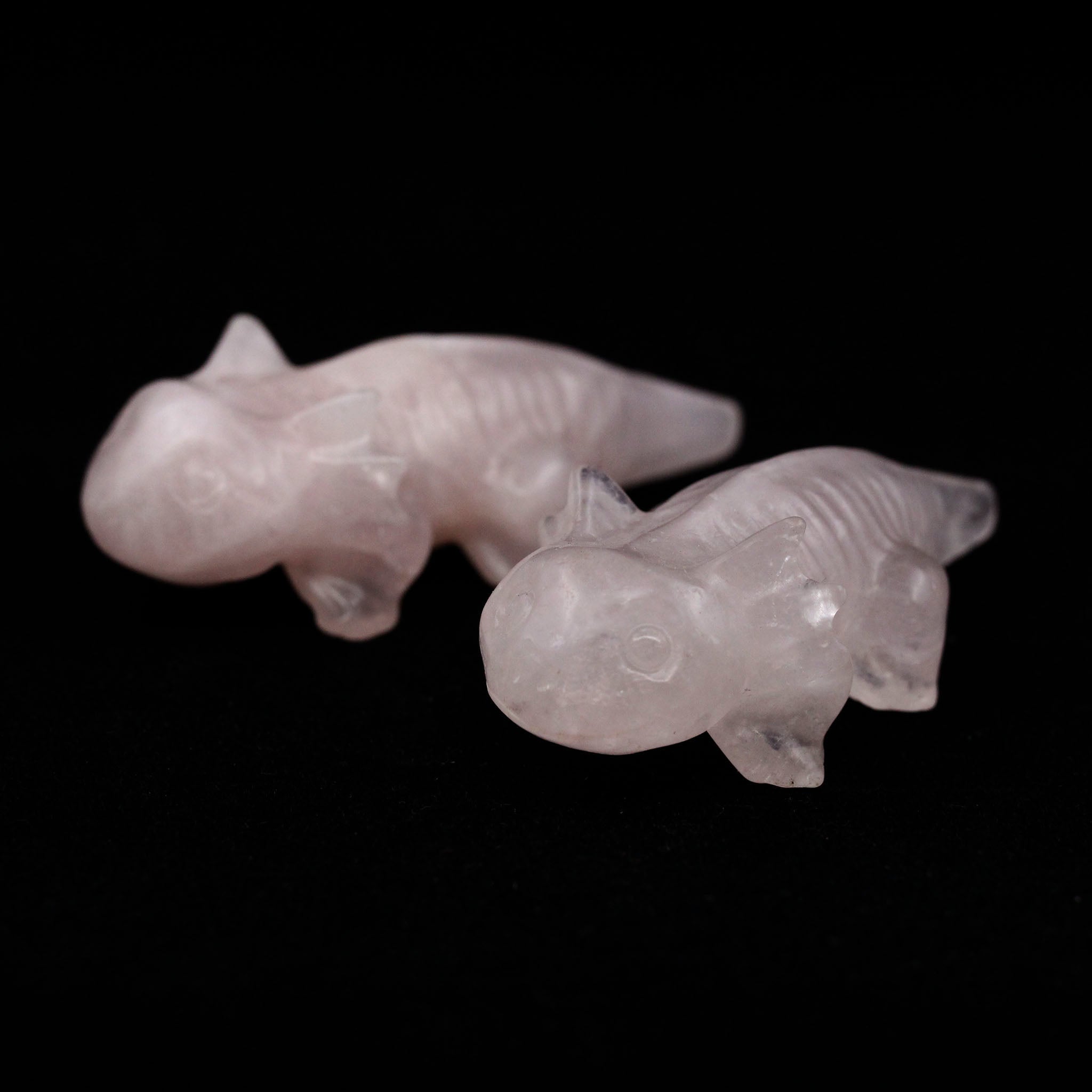 Axolotl Salamander 2.5 Inches