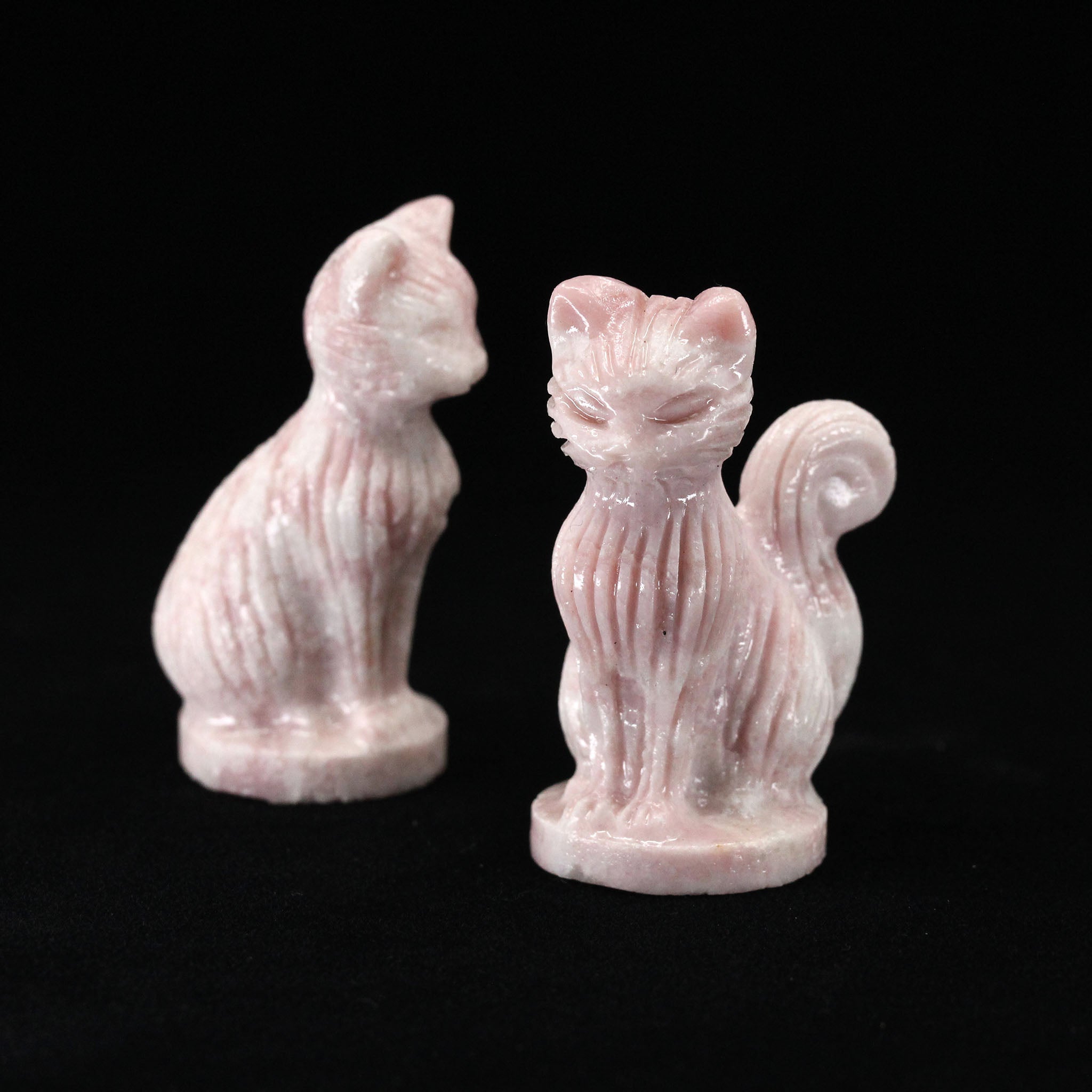 Fancy Cat Sitting 2.4 Inch