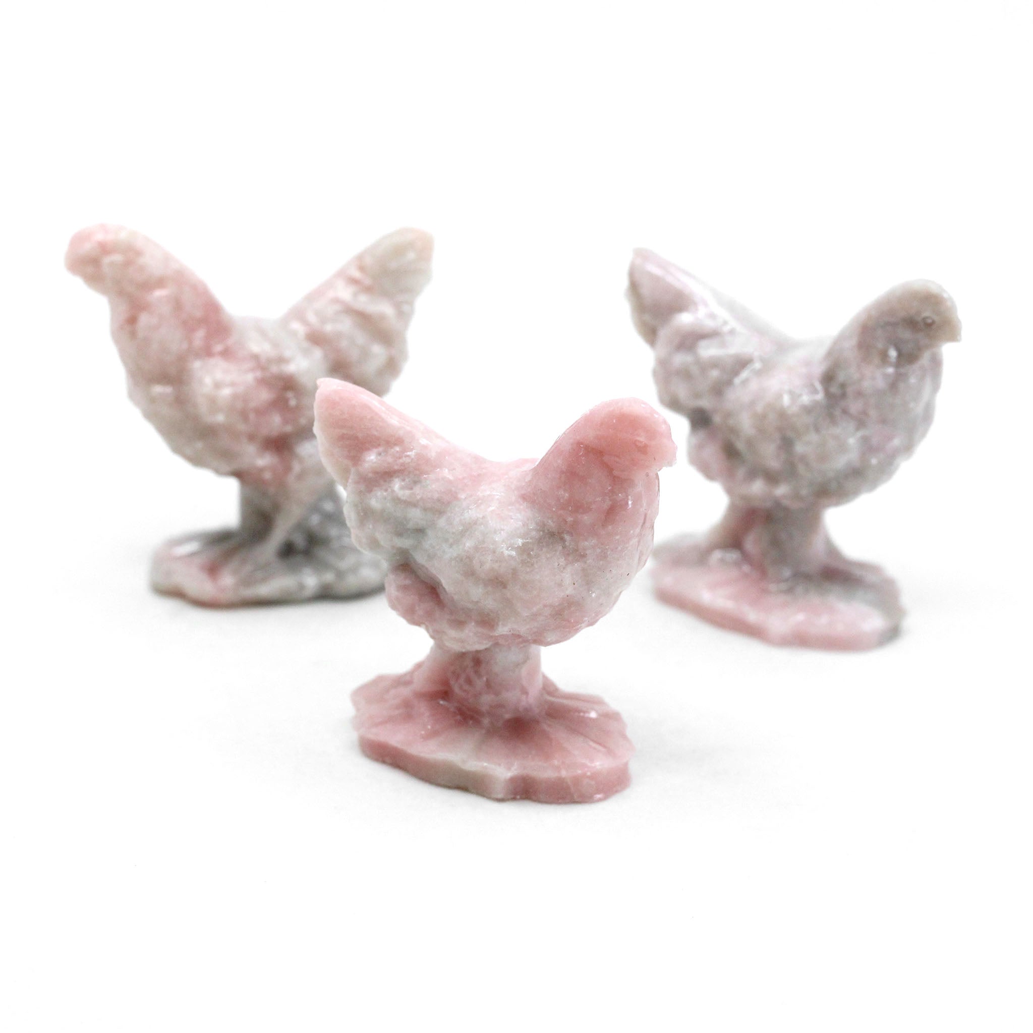 Chicken 2 Inches