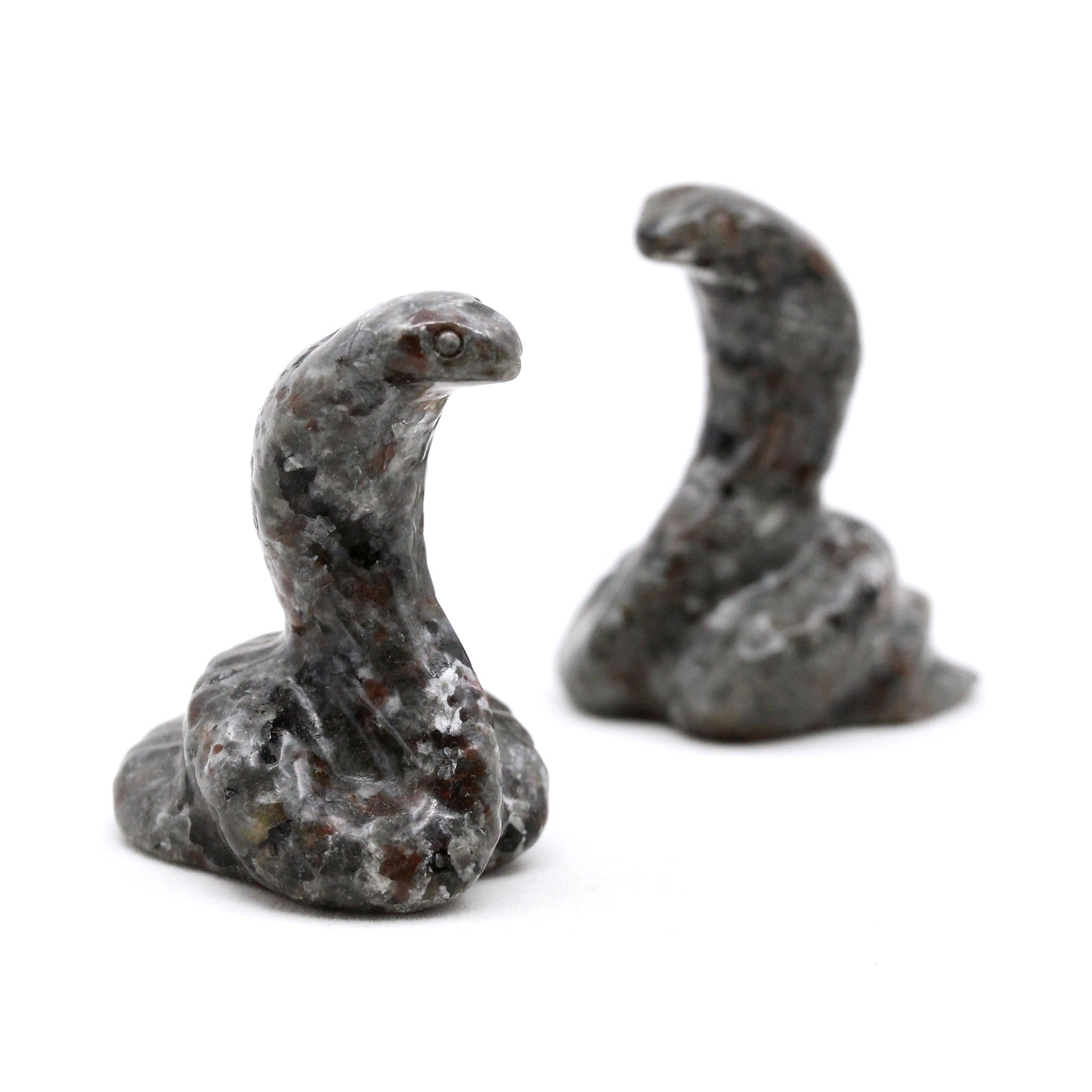 Cobra Snake 2 Inches