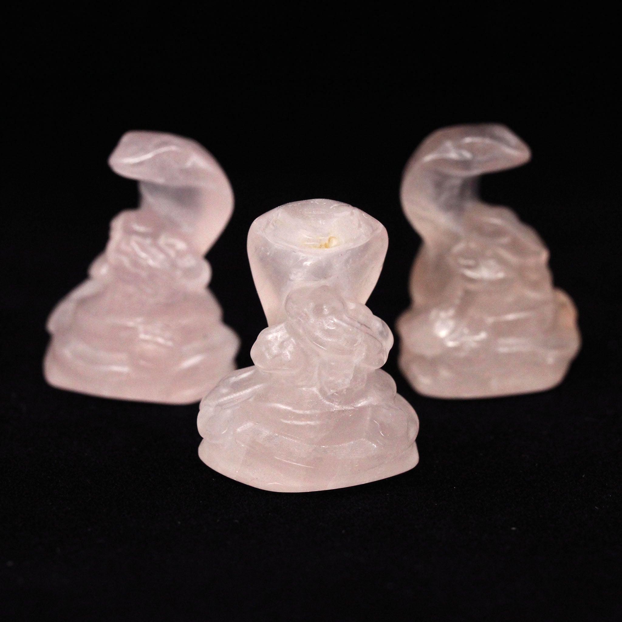 Cobra with Ruyi 1.5 Inches