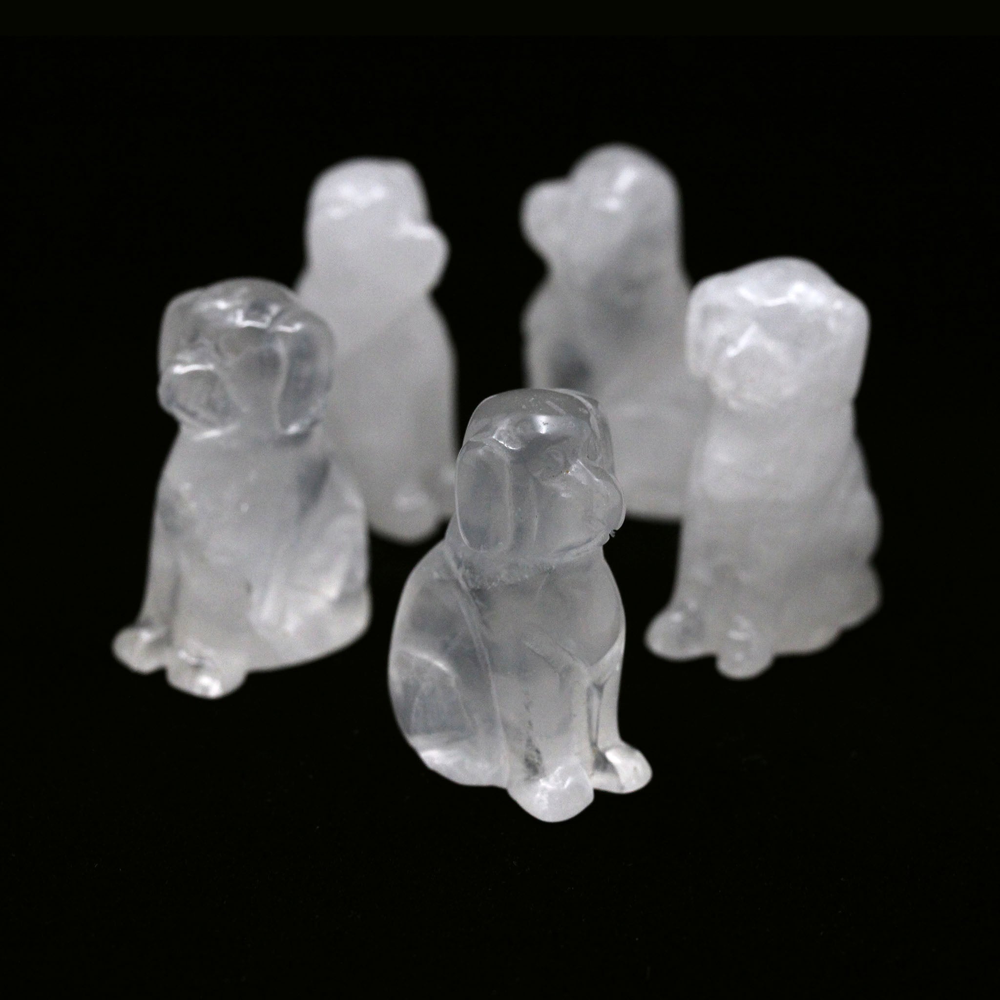 Dog Sitting 1.5 Inches - 5 Pcs