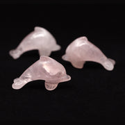 Dolphin 1.5 Inches