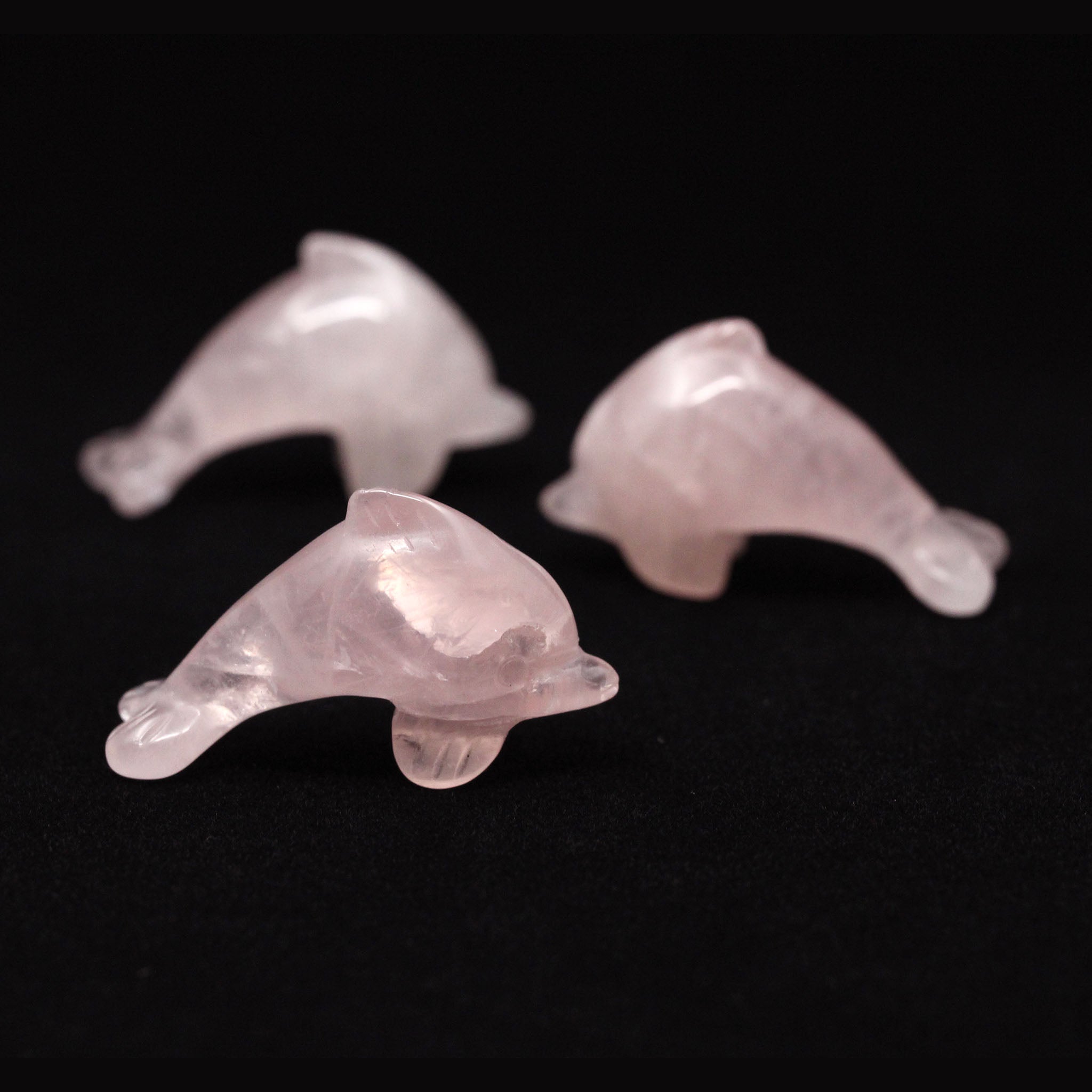 Dolphin 1.5 Inches