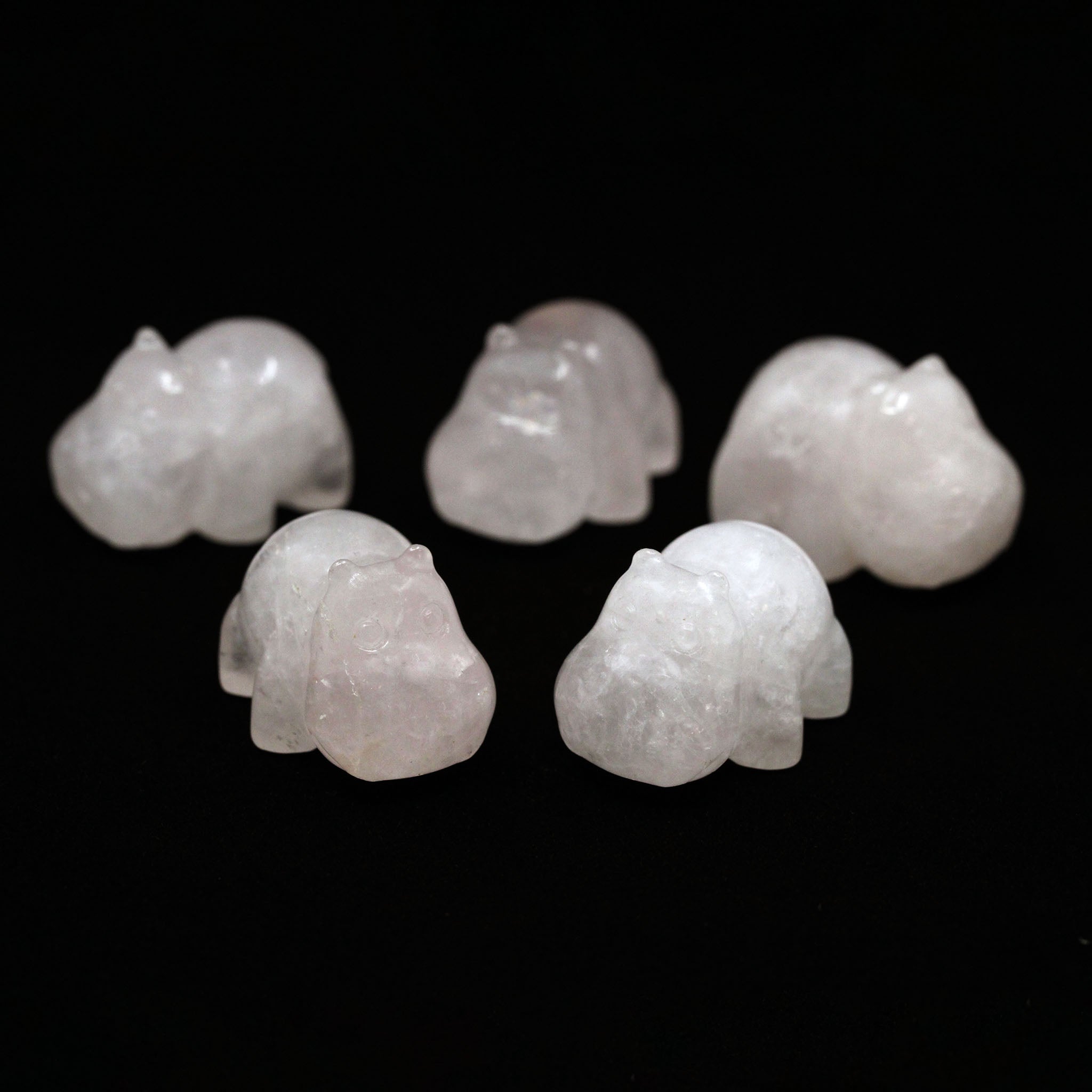 Hippo 35mm - 5 Pcs