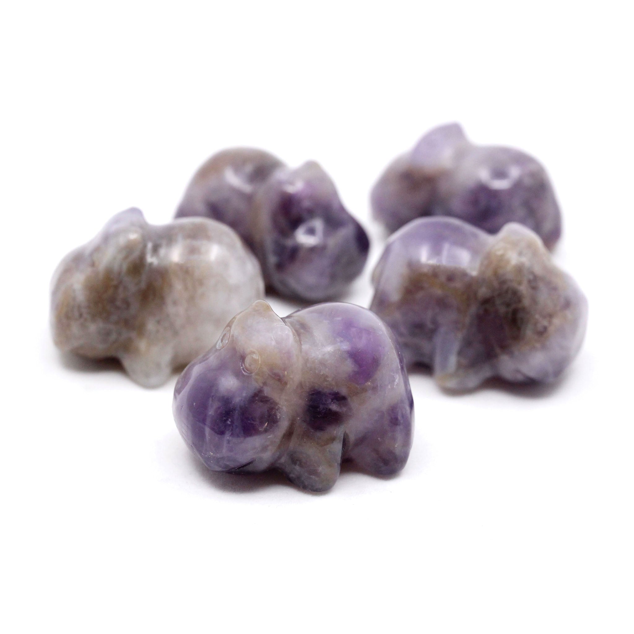 Hippo 35mm - 5 Pcs