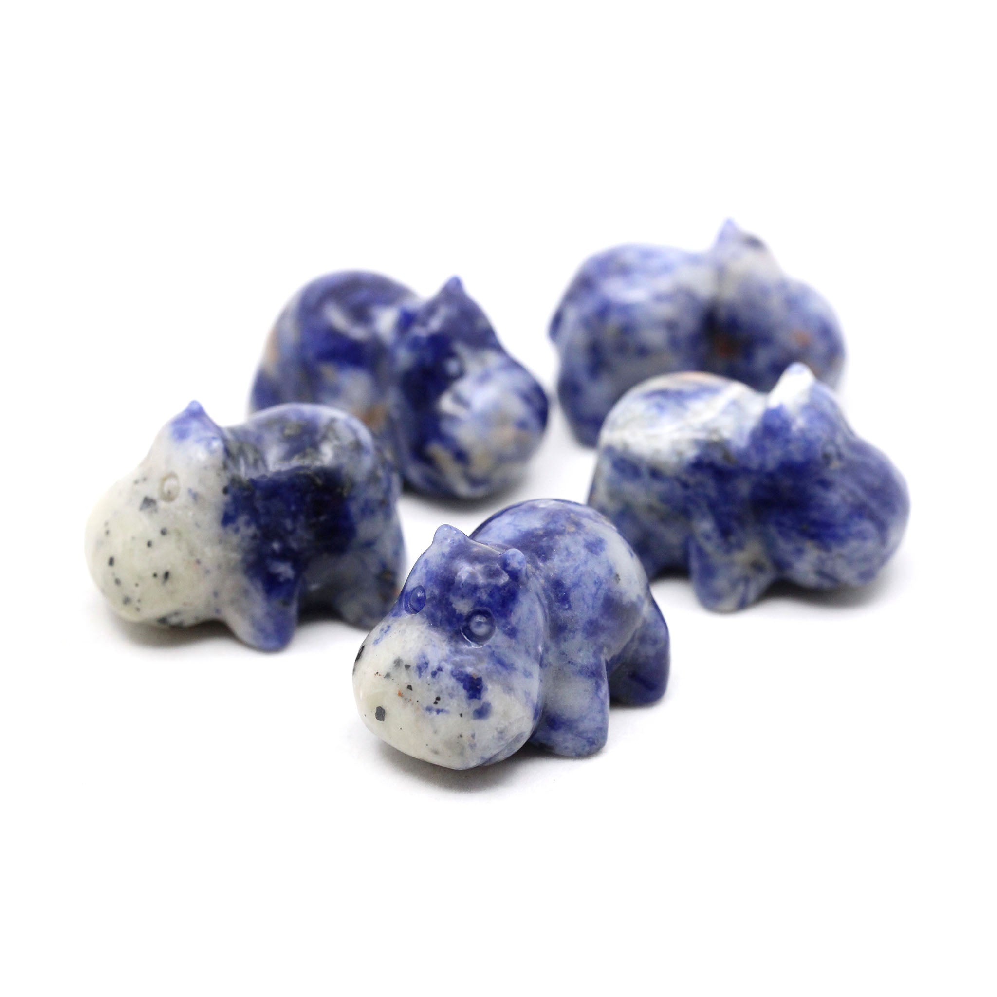 Hippo 35mm - 5 Pcs