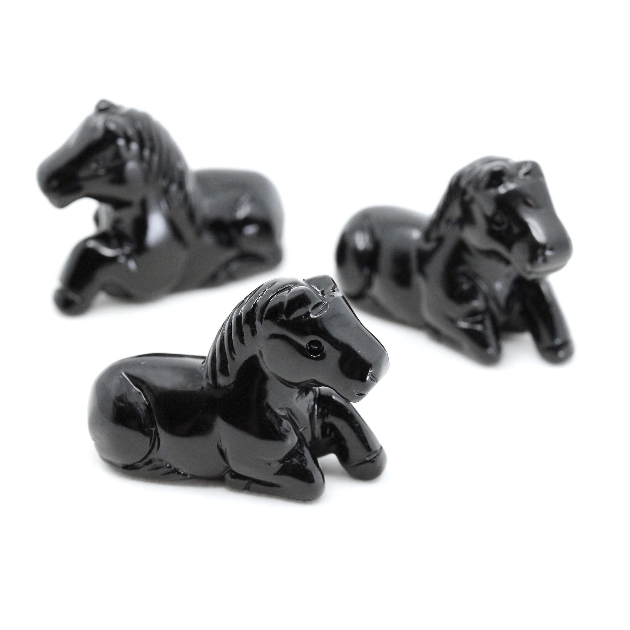 Horse Laying Down