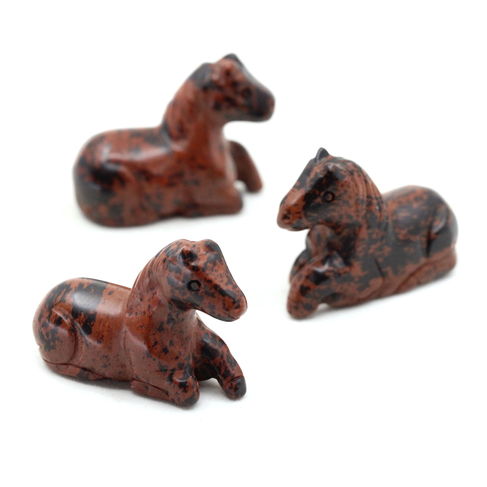 Horse Laying Down