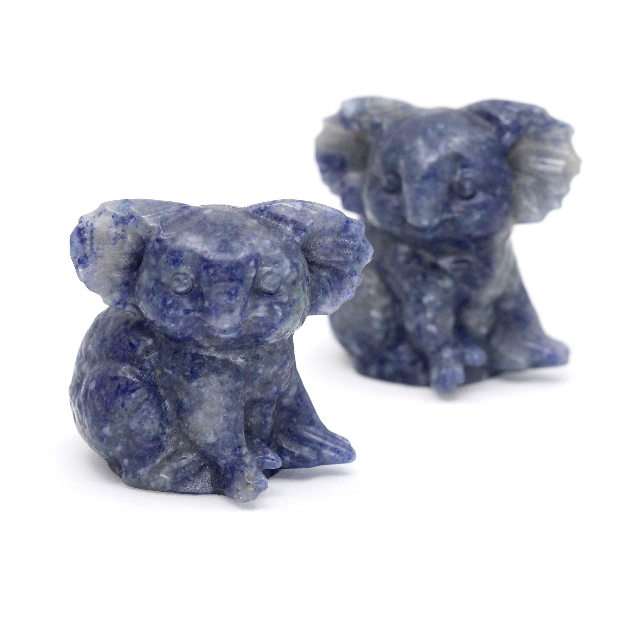 Koala Sitting