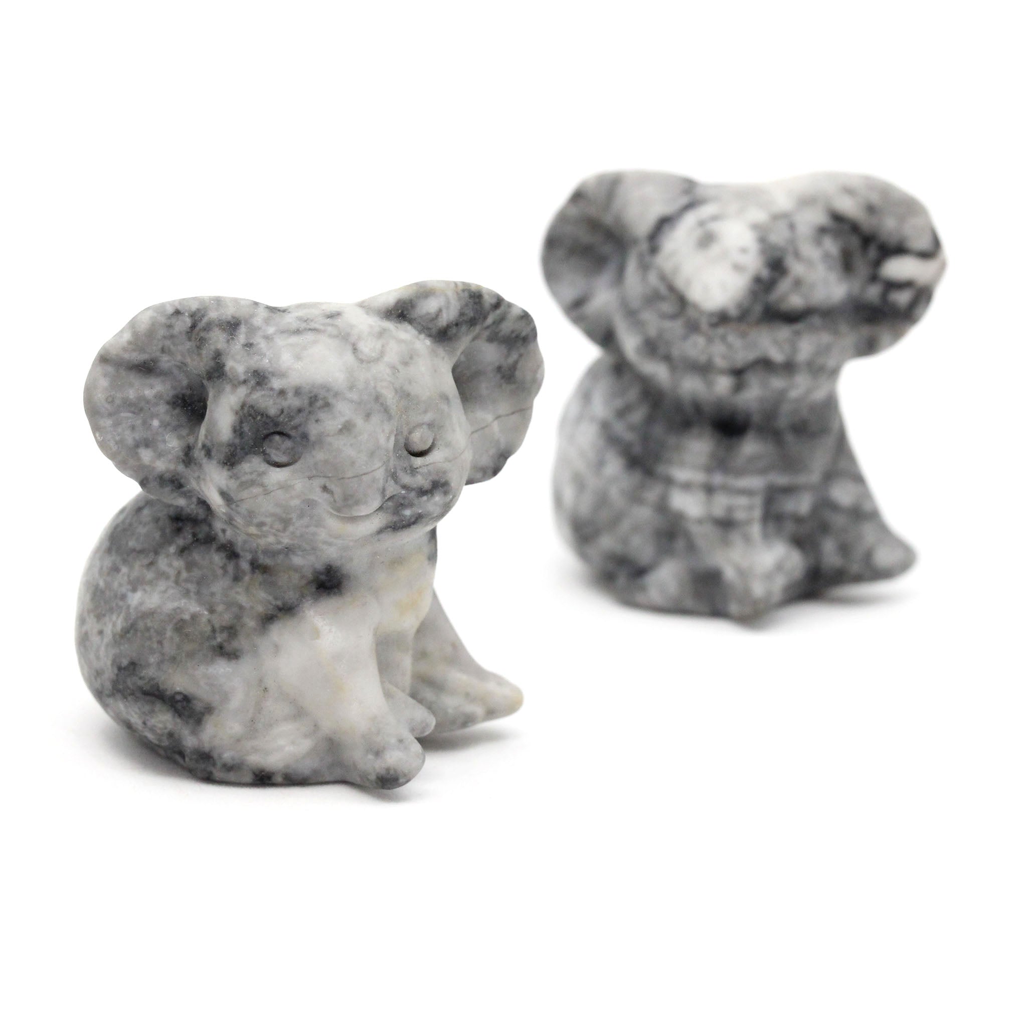 Koala Sitting
