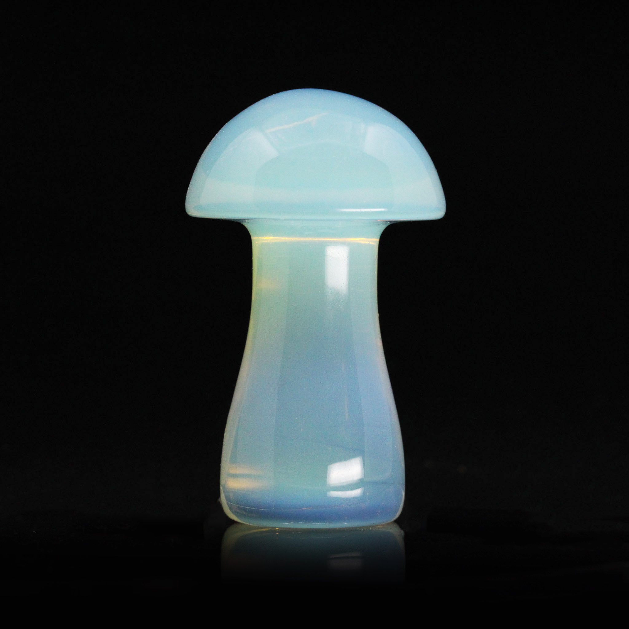 Mushroom 2.5 Inches