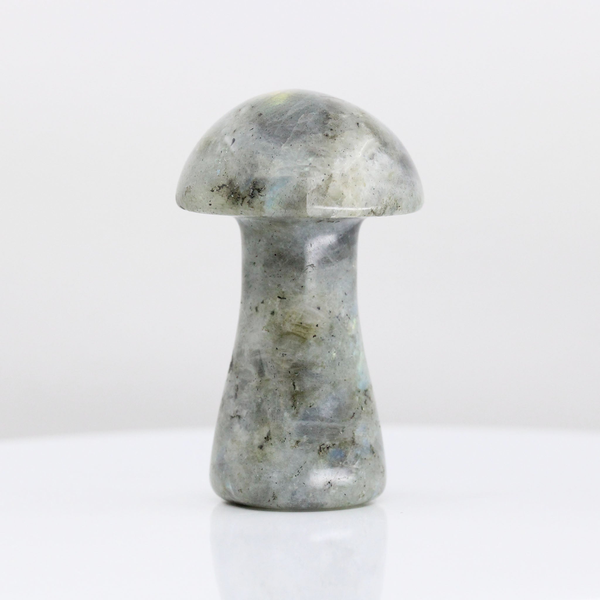 Mushroom 2.5 Inches