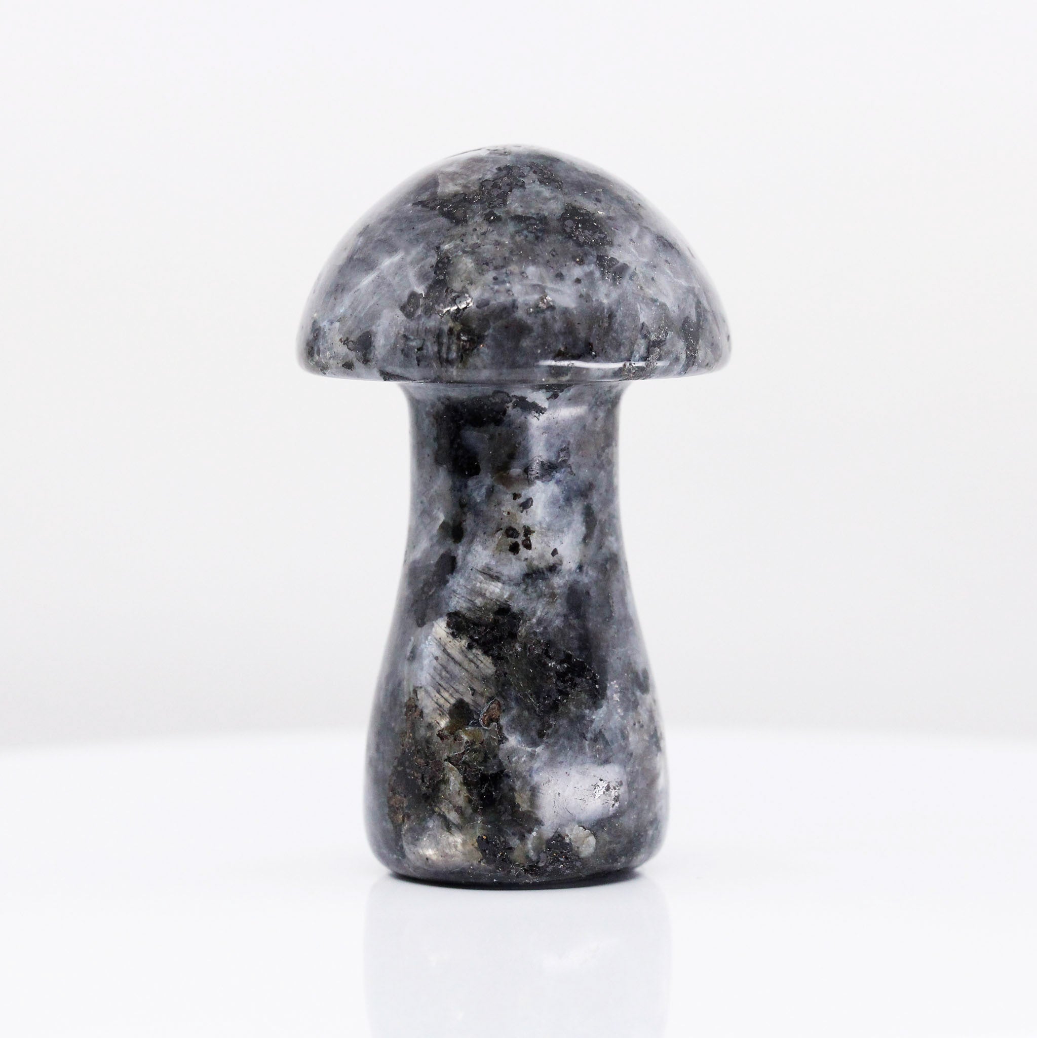 Mushroom 2.5 Inches